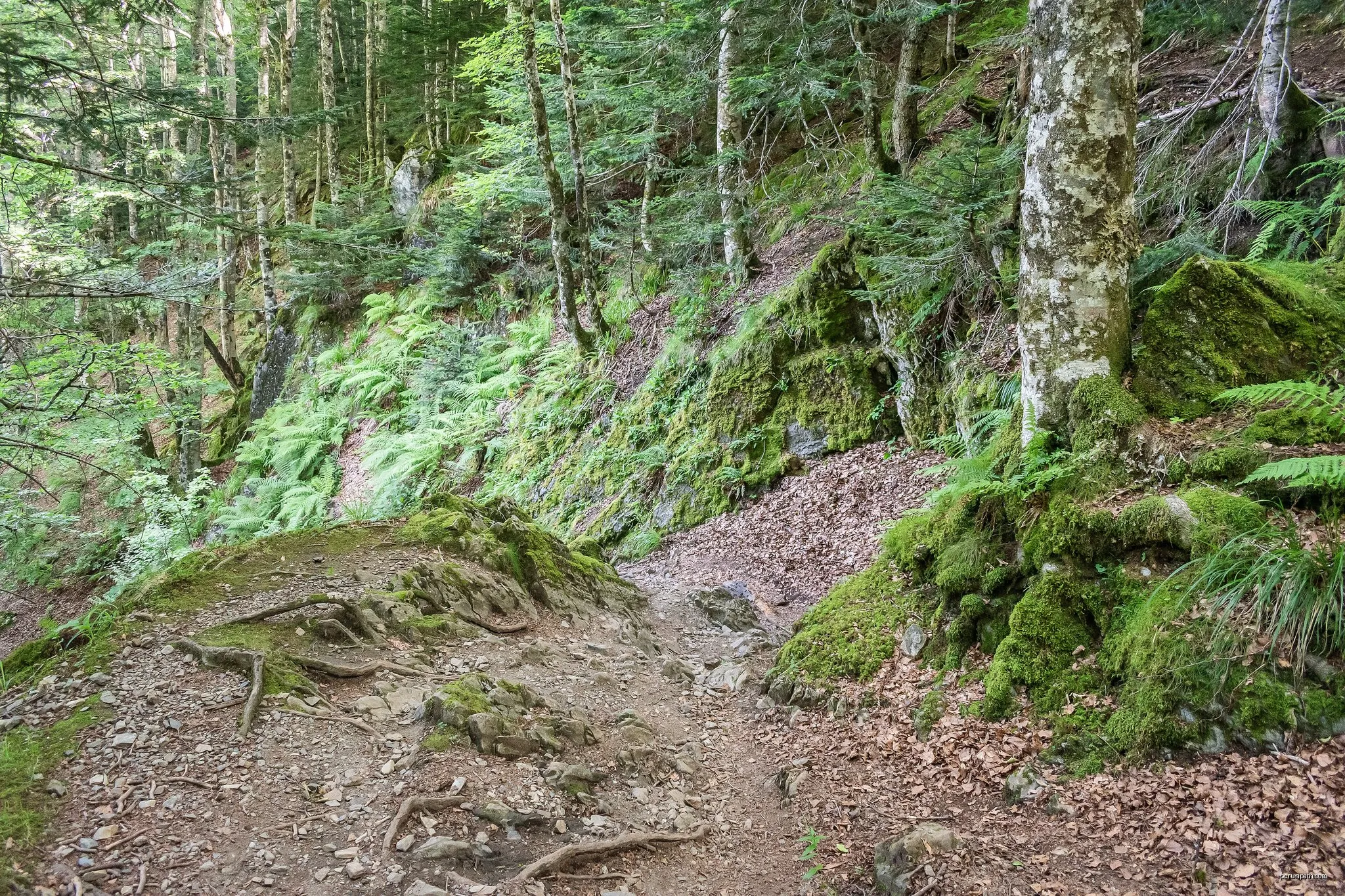 La traversée des Pyrénées - sec.4