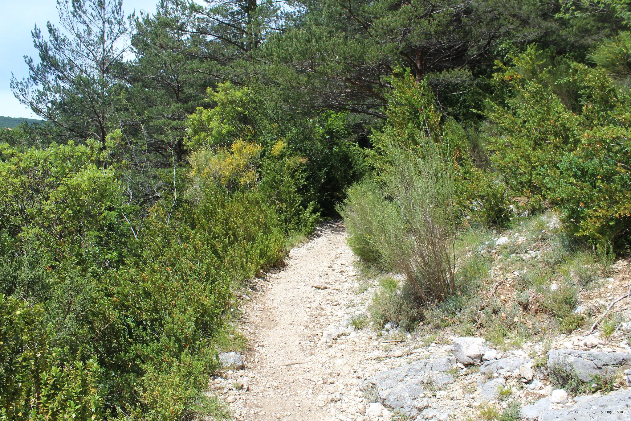 GR4 - La Palud