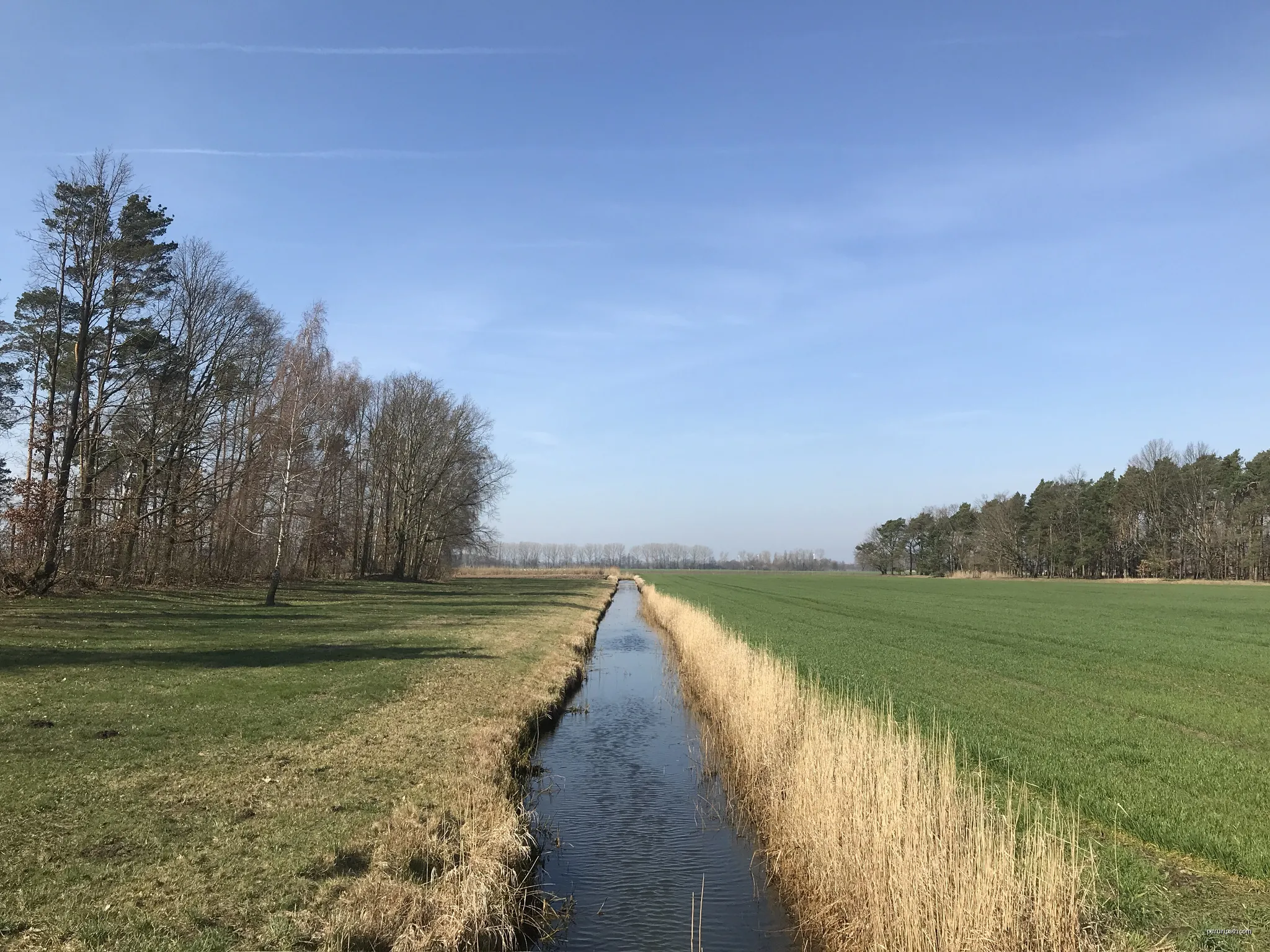 Graben von Ottendorf, ein Nebenfluss der Malxe in Peitz, Land Brandenburg | Autor: Assenmacher | Licencja: CC BY-SA 4.0 | Źródło: Wikimedia Commons
