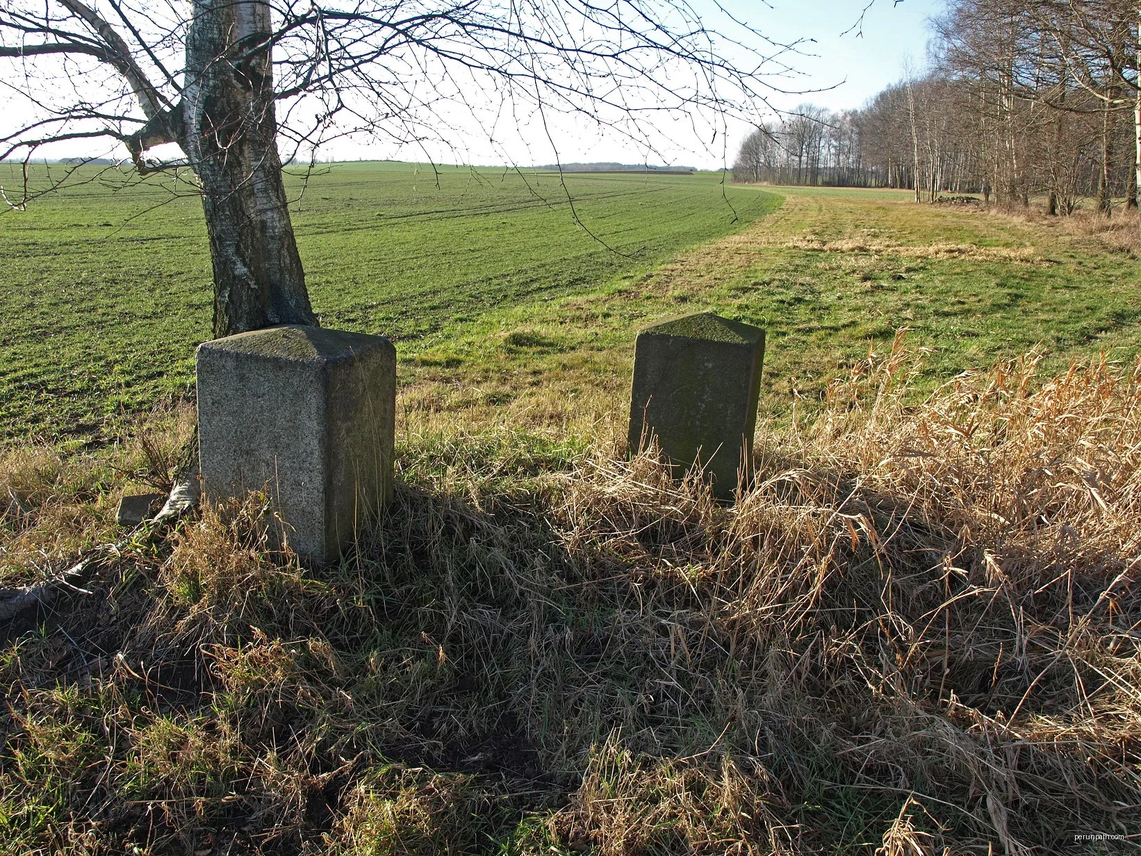 Grenzstein Nr. 61 - Historische Landesgrenze Königreich Sachsen Königreich Preußen 1815 (Wiener Kongress) | Autor: Oberlausitzerin64 | Licencja: CC BY-SA 4.0 | Źródło: Wikimedia Commons