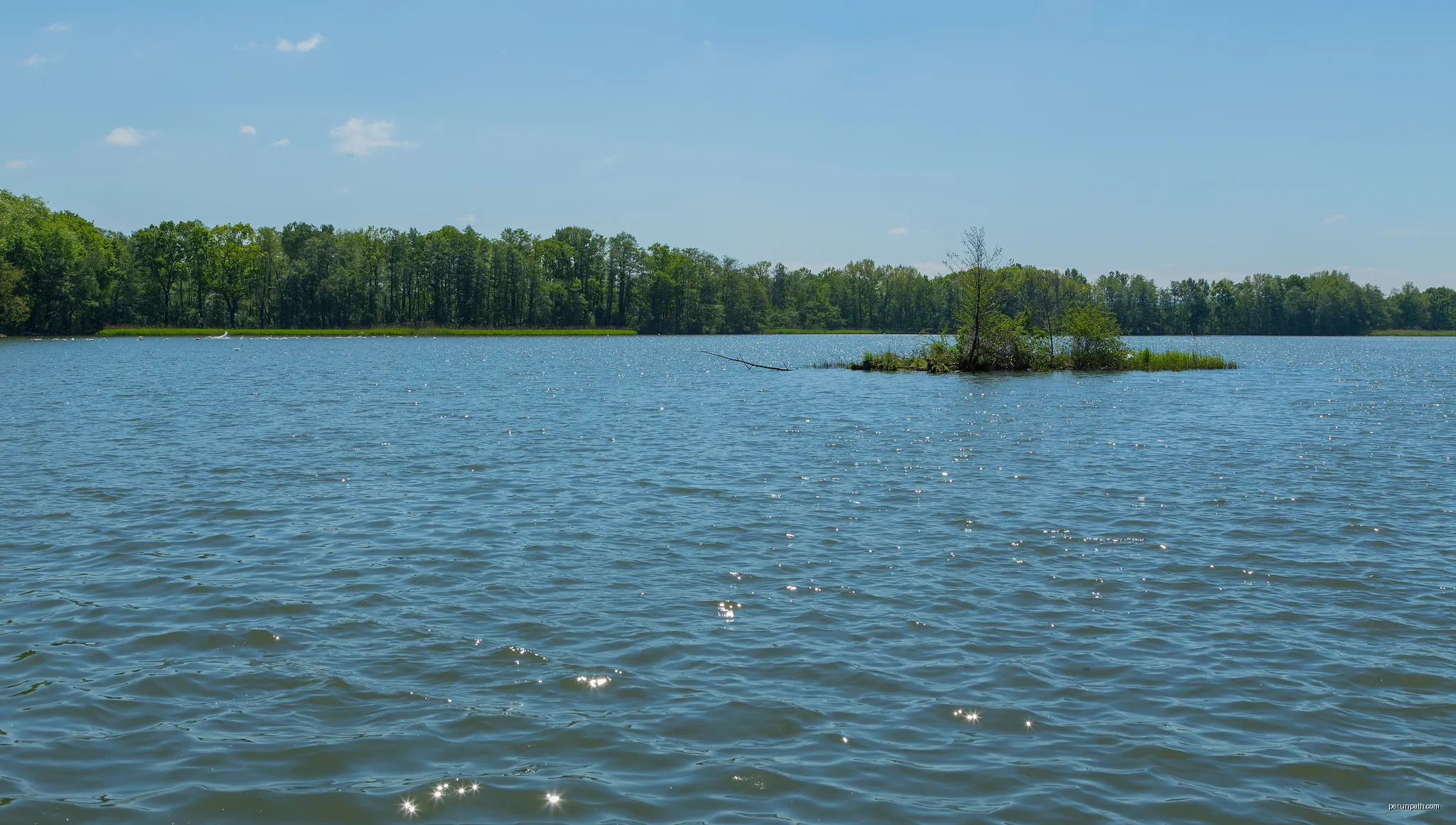 Large Pond (Großteich), one of the Guttau ponds near Guttau, district of Malschwitz, Landkreis Bautzen, Saxony, Germany. | Autor: Jan-Herm Janßen | Licencja: CC BY-SA 4.0 | Źródło: Wikimedia Commons