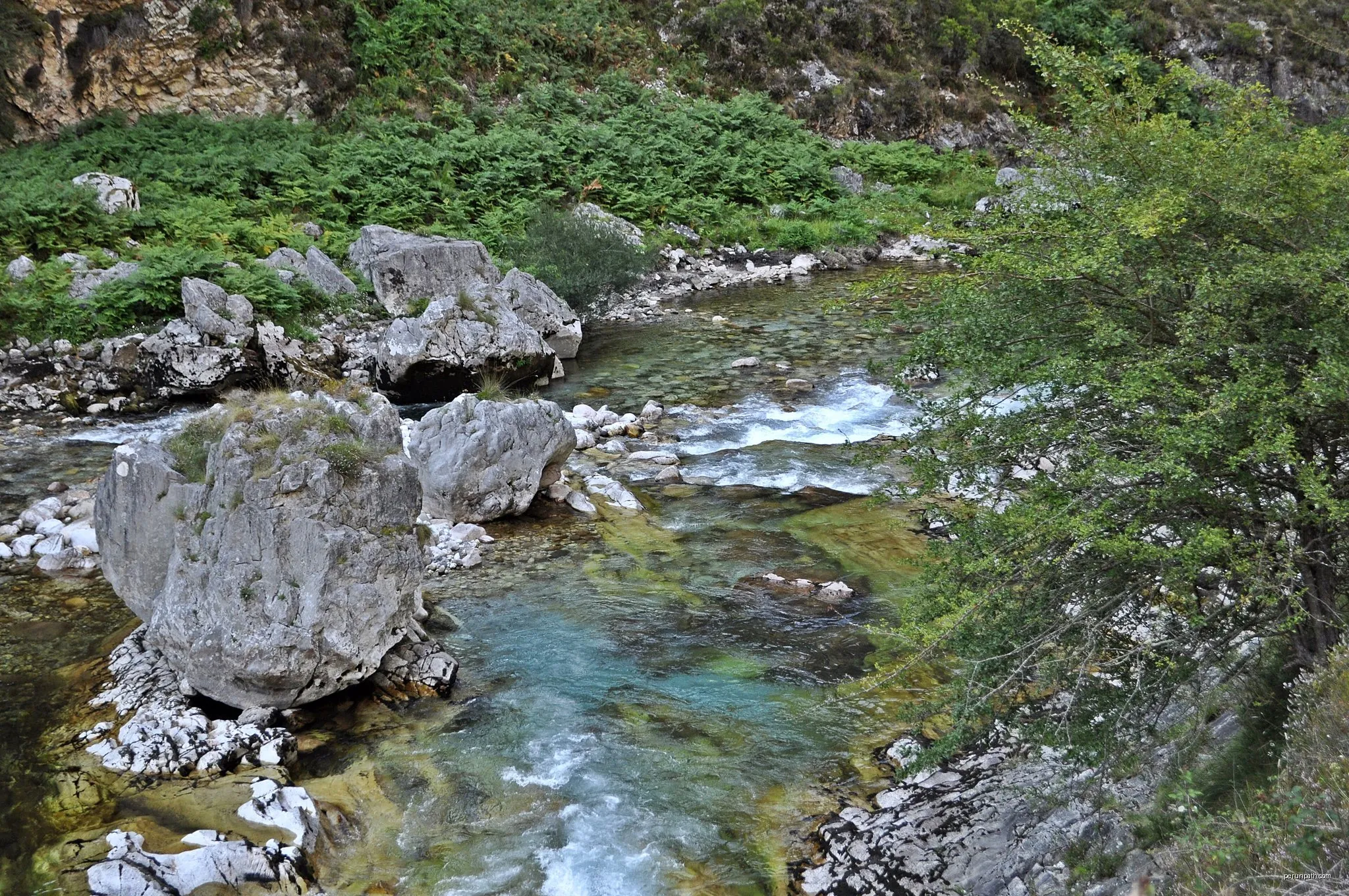 [CIMA AS37] Collada Trespandiu