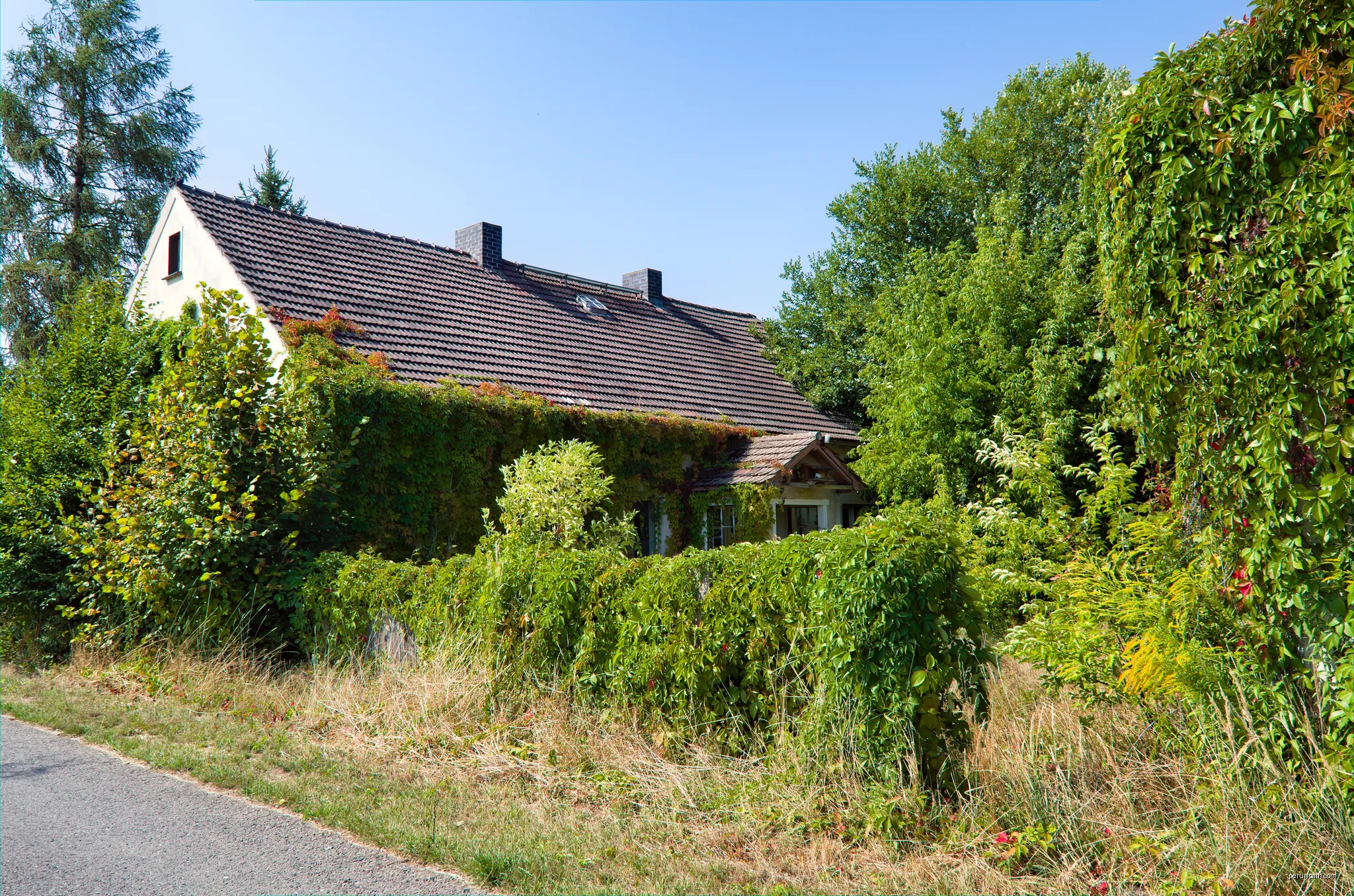 Abandoned and partially overgrown house in Harnischdorf, Groß Oßnig. | Autor: Trio3D | Licencja: CC BY-SA 4.0 | Źródło: Wikimedia Commons