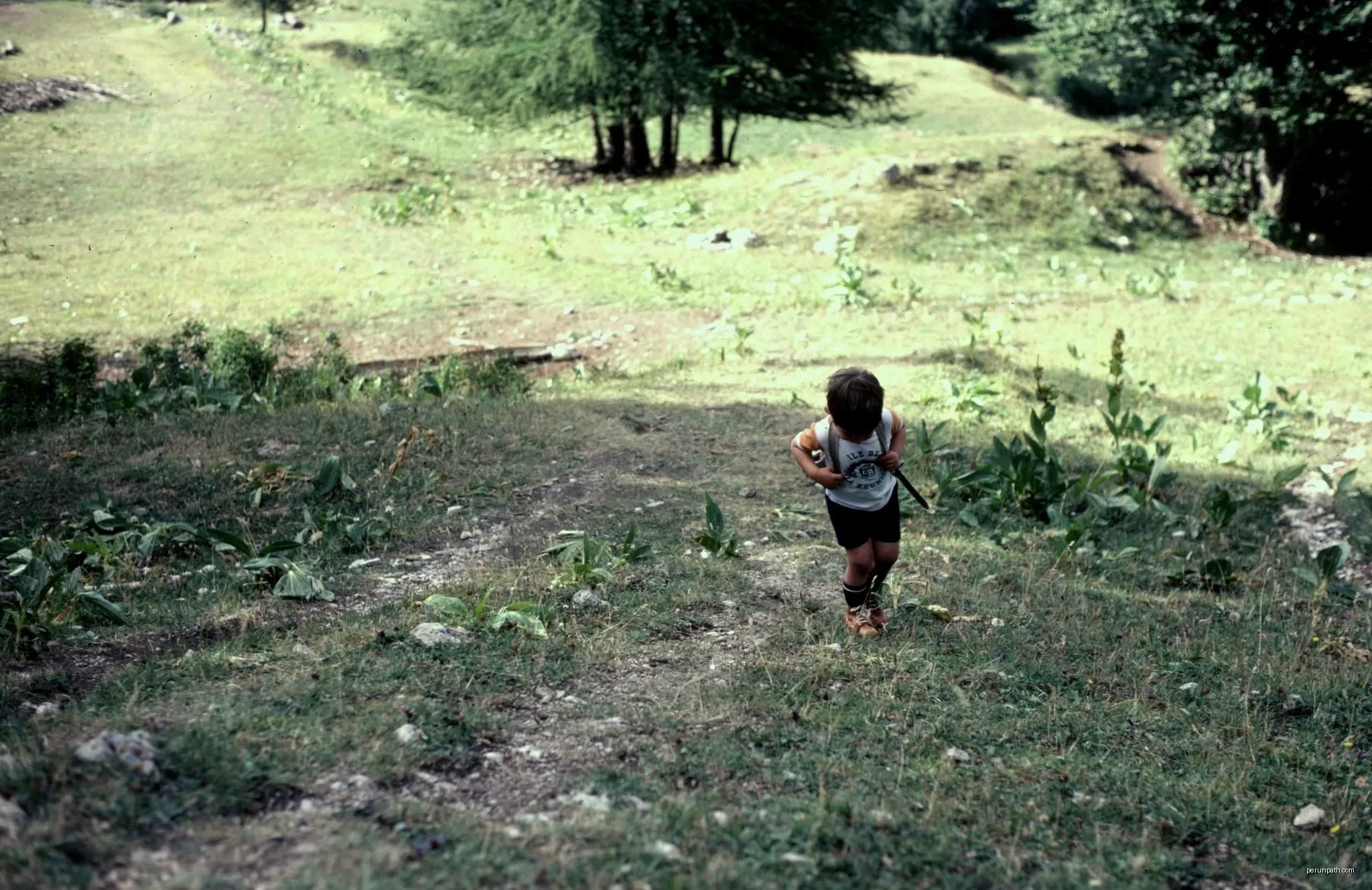 Hautes-Alpes Charance Le Petit Randonneur 081978 | Autor: rene boulay | Licencja: CC BY-SA 3.0 | Źródło: Wikimedia Commons