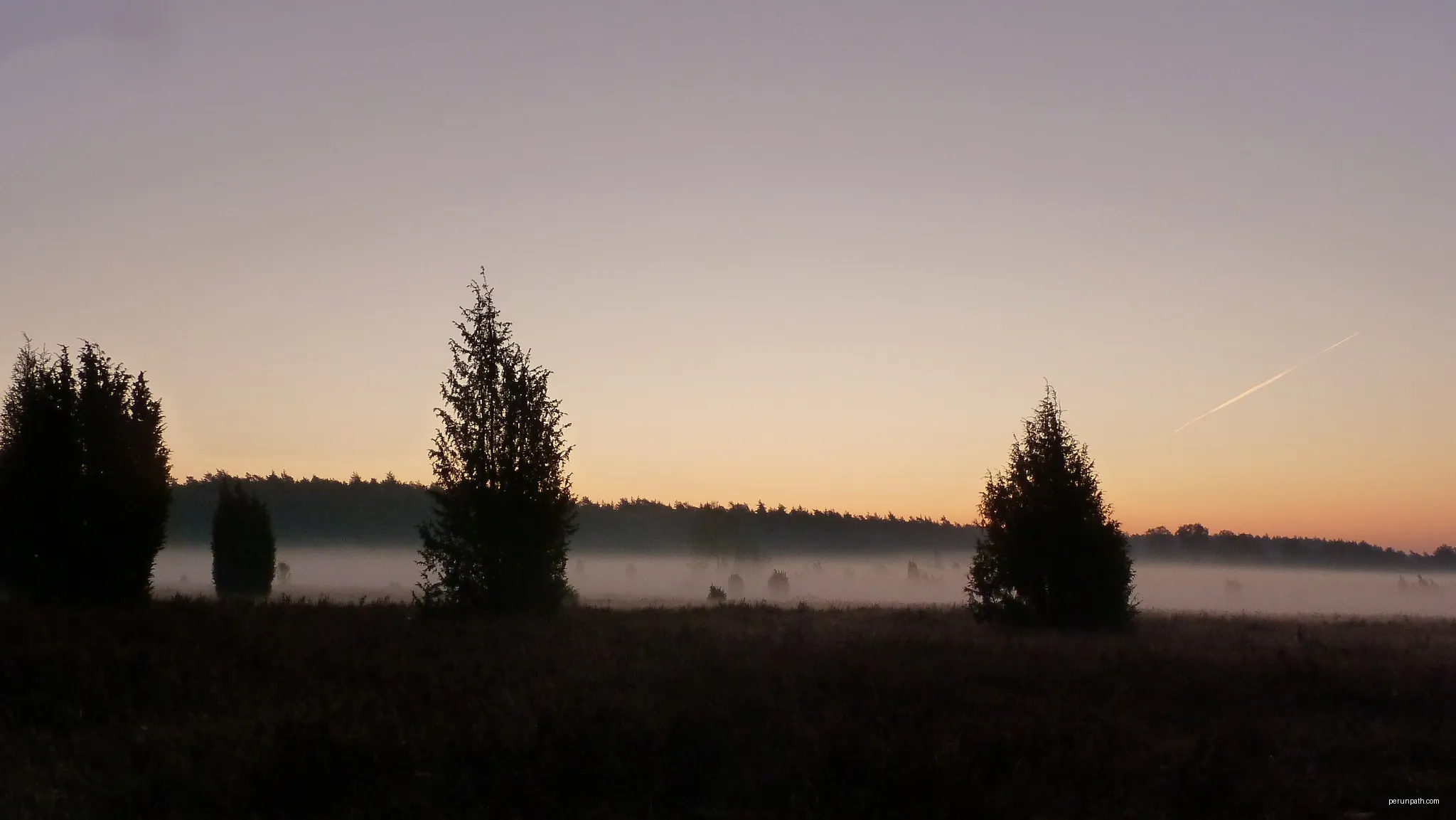 Naturschutzgebiet „Heiden und Magerrasen in der Südheide“ ( NSG LÜ 334): Ausblick vom Wanderparkplatz am westlichen Rand des NSG. | Autor: Puusterke | Licencja: CC BY-SA 4.0 | Źródło: Wikimedia Commons