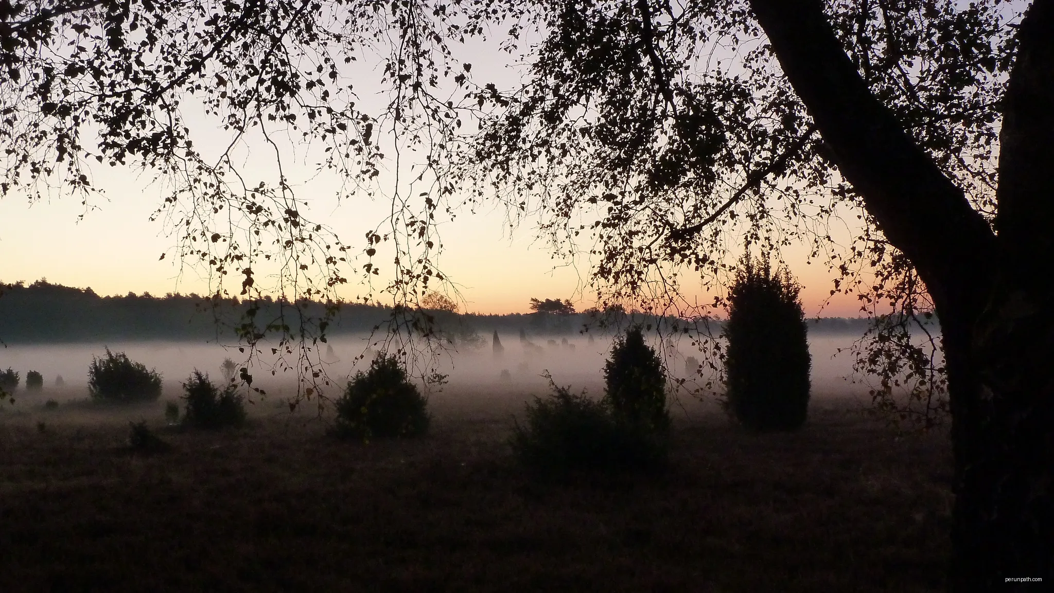 Naturschutzgebiet „Heiden und Magerrasen in der Südheide“ ( NSG LÜ 334): Ausblick vom Wanderparkplatz am westlichen Rand des NSG. | Autor: Puusterke | Licencja: CC BY-SA 4.0 | Źródło: Wikimedia Commons