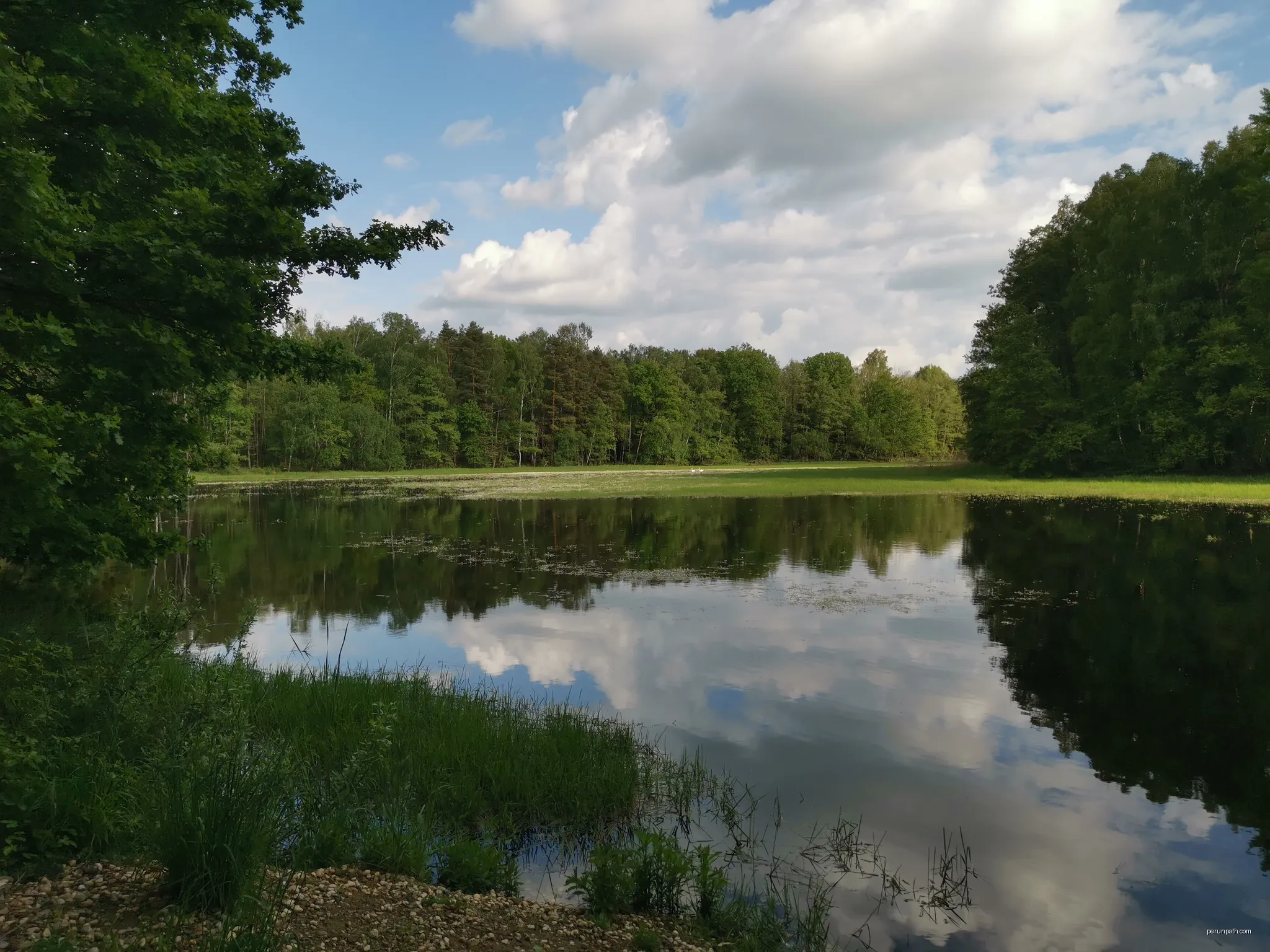 Herrenteich bei Cosel im FFH-Gebiet Teichgruppen Cosel-Zeisholz | Autor: Z thomas | Licencja: CC BY-SA 4.0 | Źródło: Wikimedia Commons