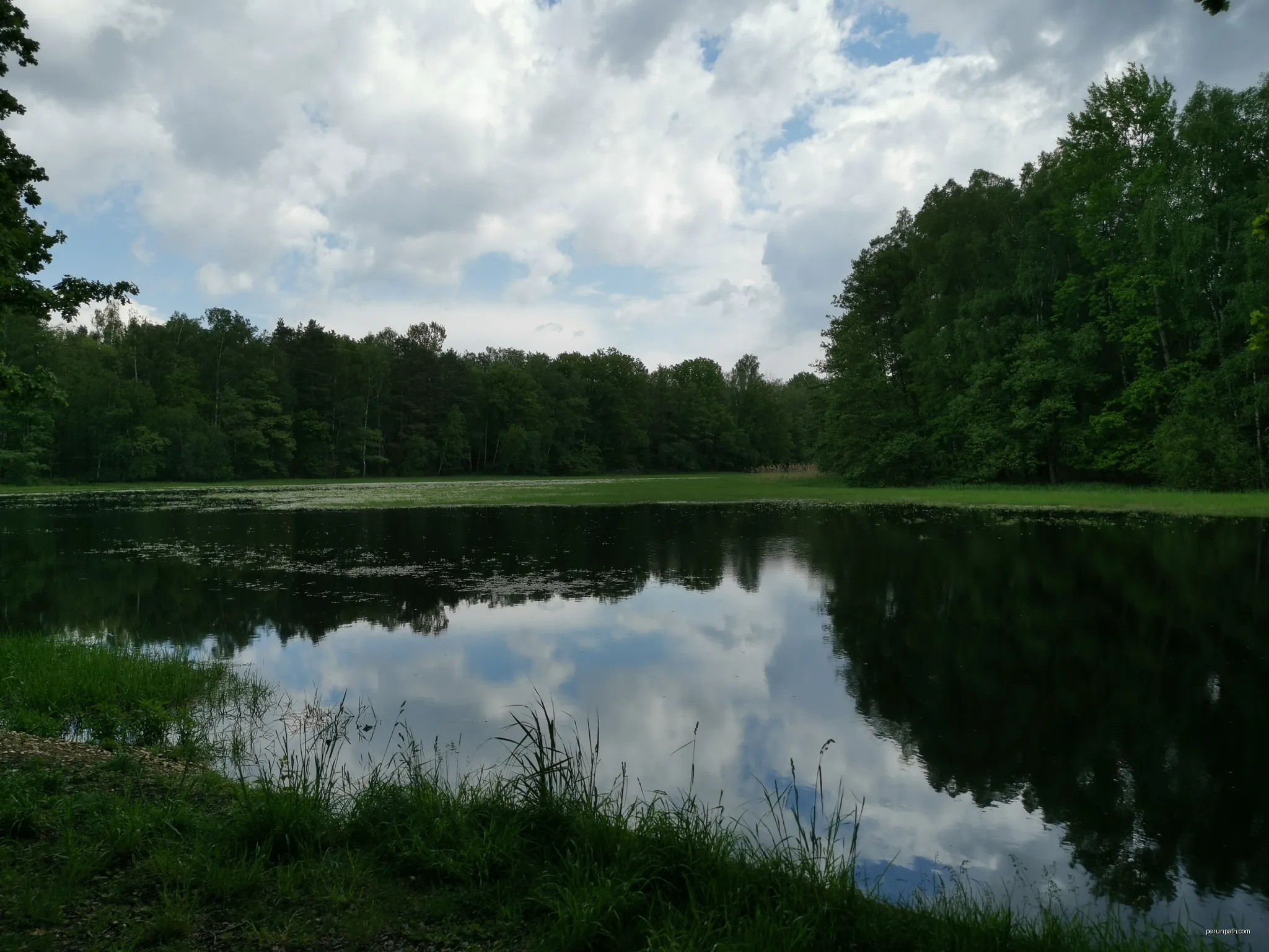 Herrenteich bei Cosel im FFH-Gebiet Teichgruppen Cosel-Zeisholz | Autor: Z thomas | Licencja: CC BY-SA 4.0 | Źródło: Wikimedia Commons