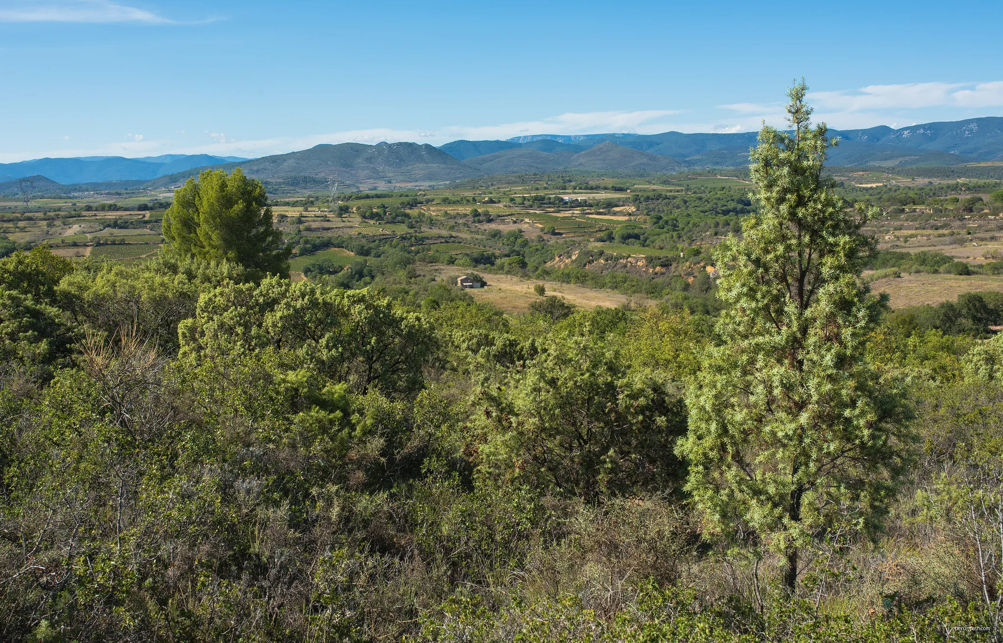 Hills, fieds and garrigue in the commune of Murviel-lès-Béziers, Hérault, France. | Autor: Christian Ferrer | Licencja: CC BY-SA 4.0 | Źródło: Wikimedia Commons