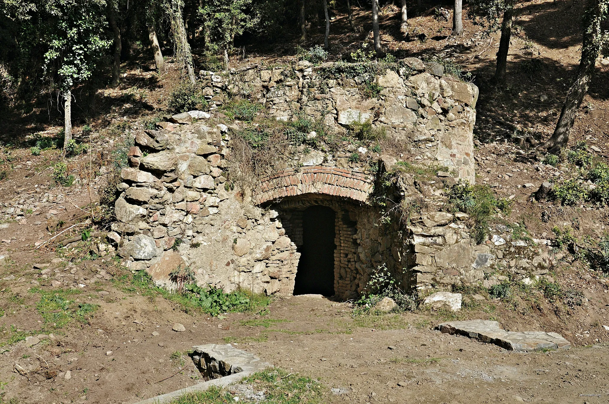 Les Alzines de Can Portell