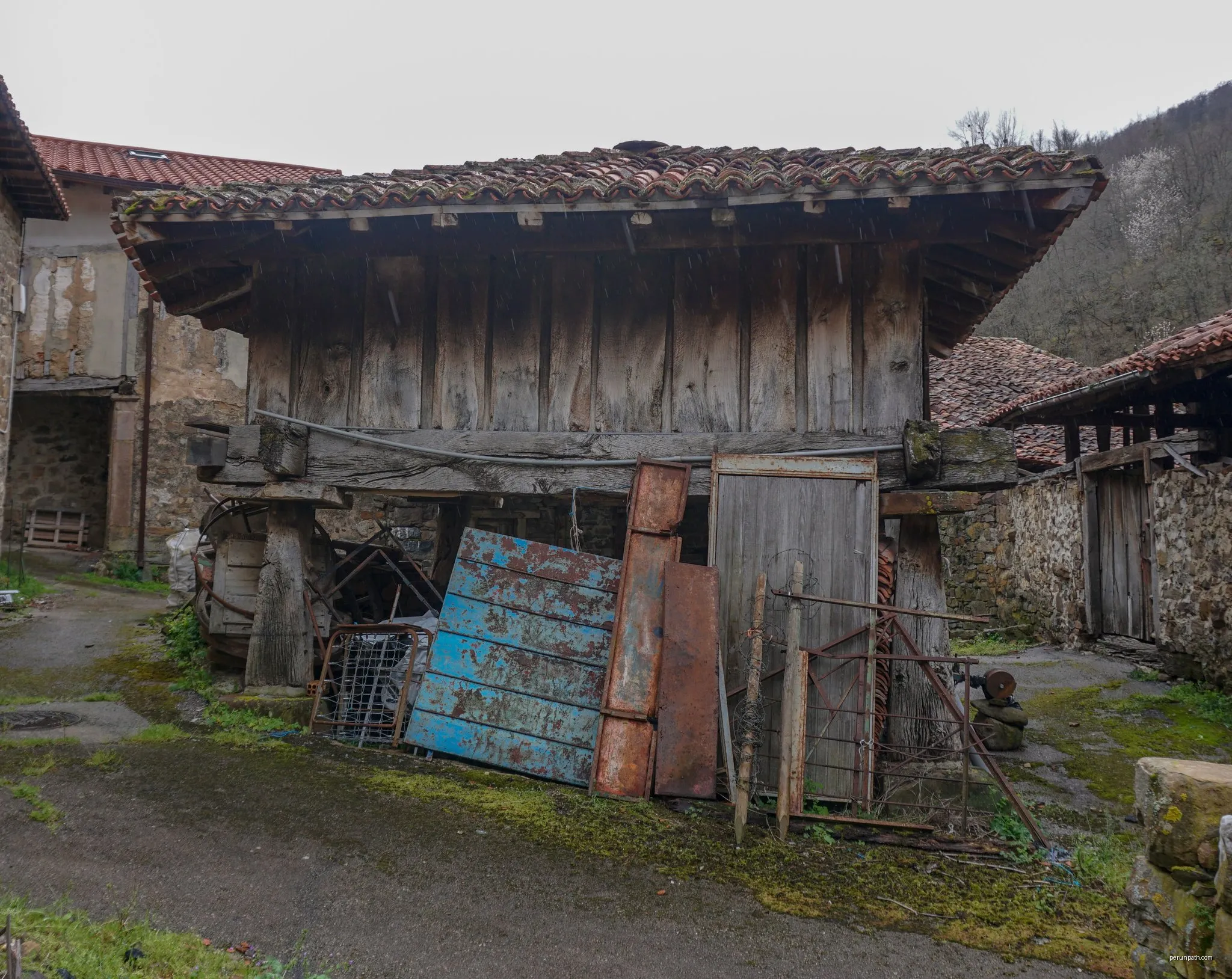 Hayedo de Las Ilces. Alternativa por Pido
