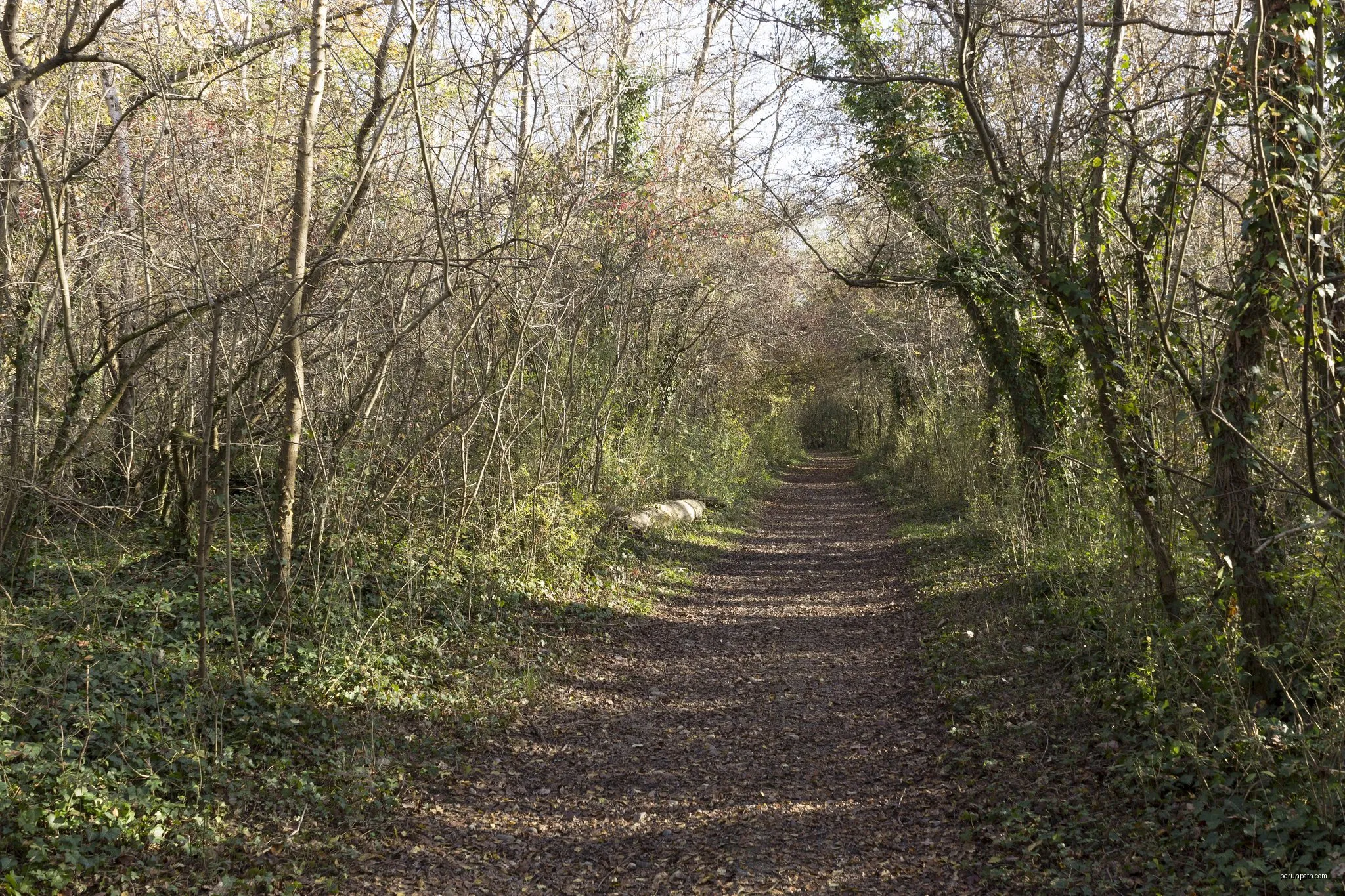 Sentier de l'Homme et du Fleuve