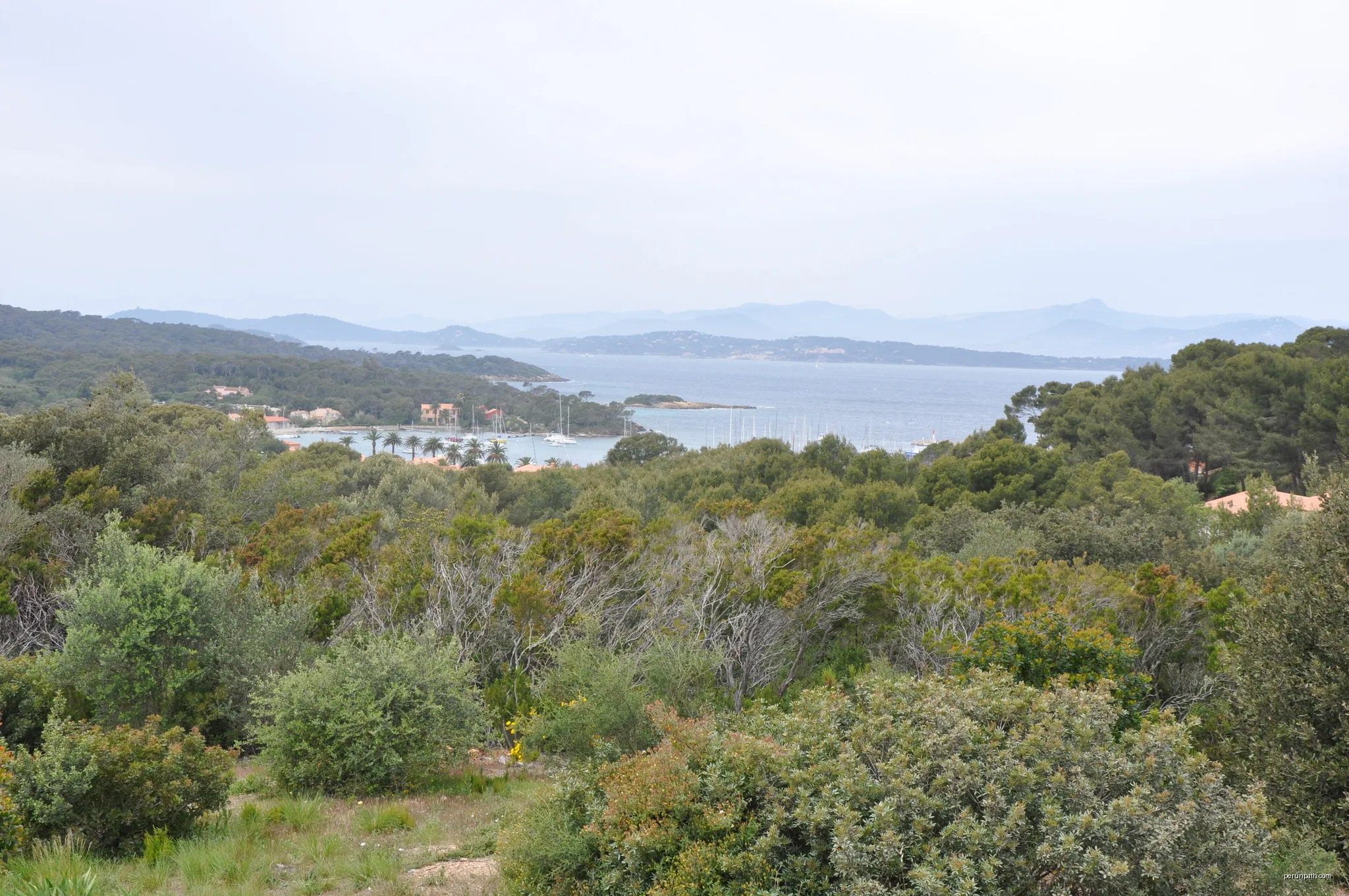 Île de Porquerolles, Hyères | Autor: M.Strīķis | Licencja: CC BY-SA 3.0 | Źródło: Wikimedia Commons