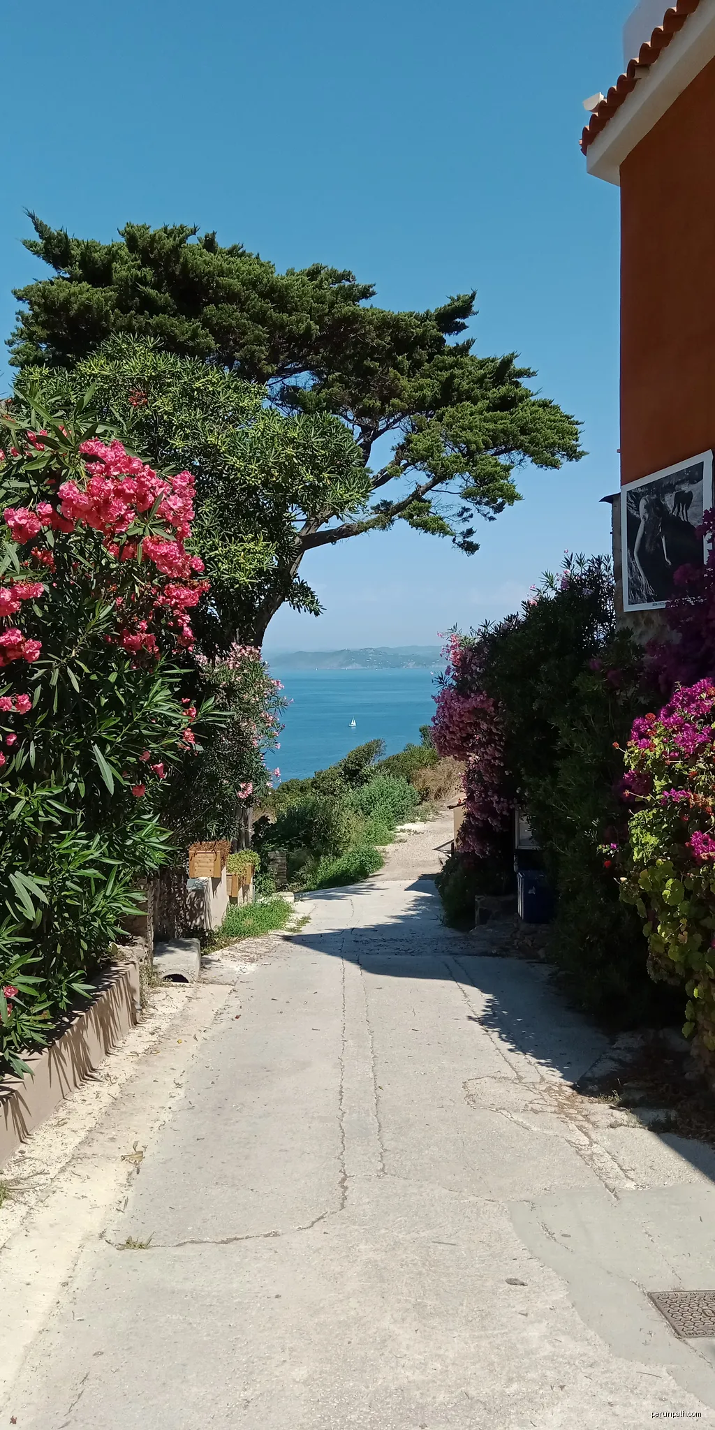 L'île du Levant, Hyères, Var, France | Autor: Rémih | Licencja: CC BY-SA 4.0 | Źródło: Wikimedia Commons