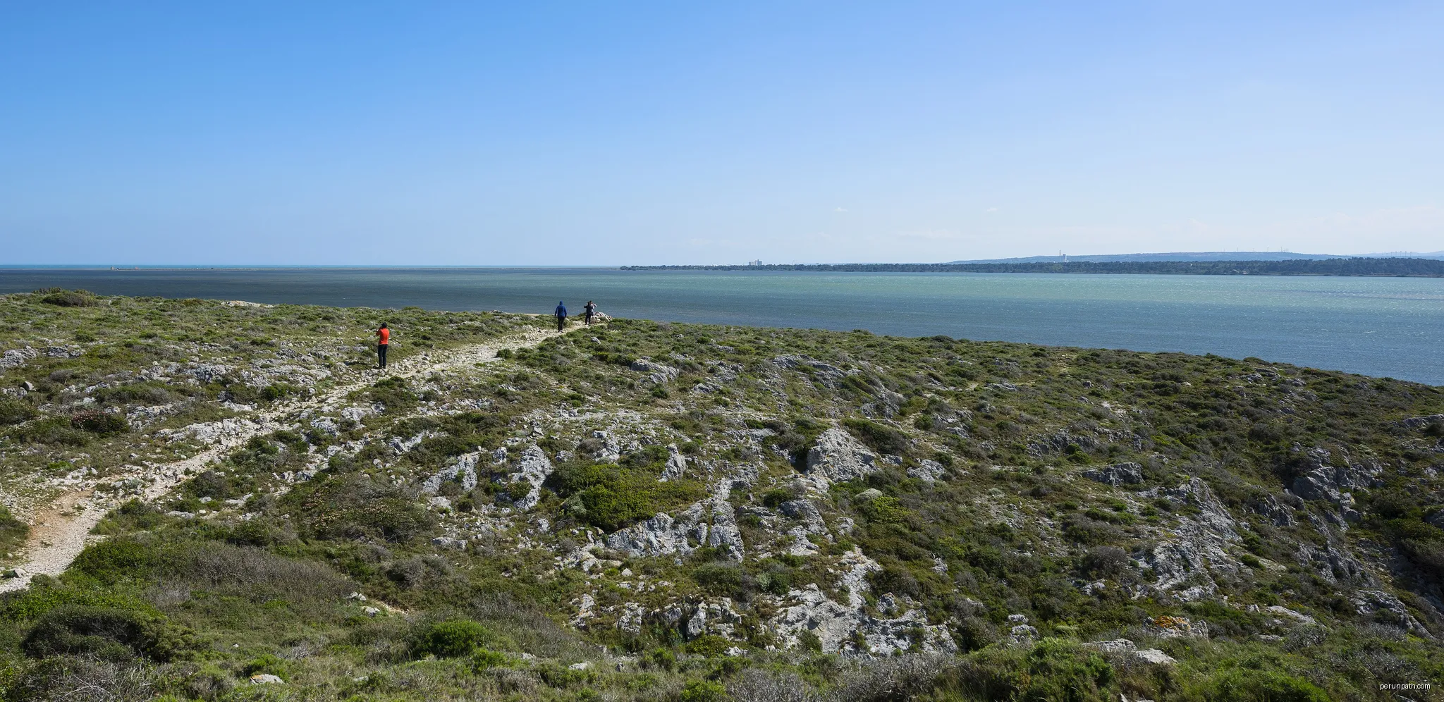 Hickers in the Island Saint-Martin. Narbonnaise en Méditerranée Regional Natural Park, commune of Gruissan, Aude, France | Autor: Christian Ferrer | Licencja: CC BY-SA 4.0 | Źródło: Wikimedia Commons