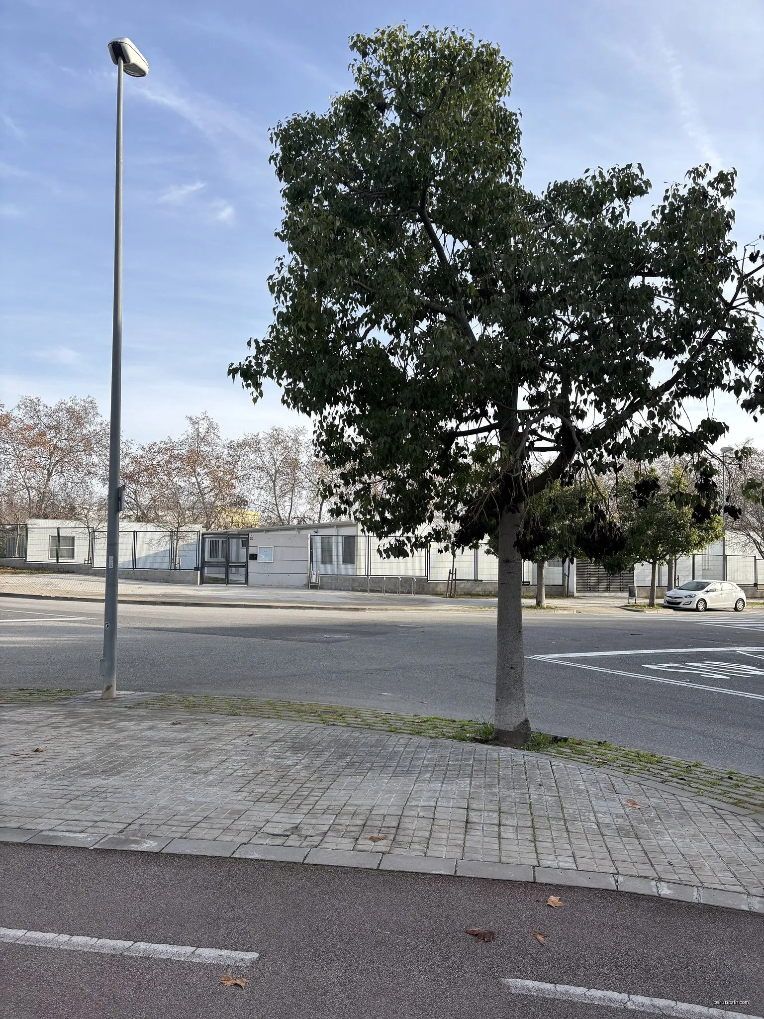 Vilafranca - Sant Pere Molanta pel Camí de Melió