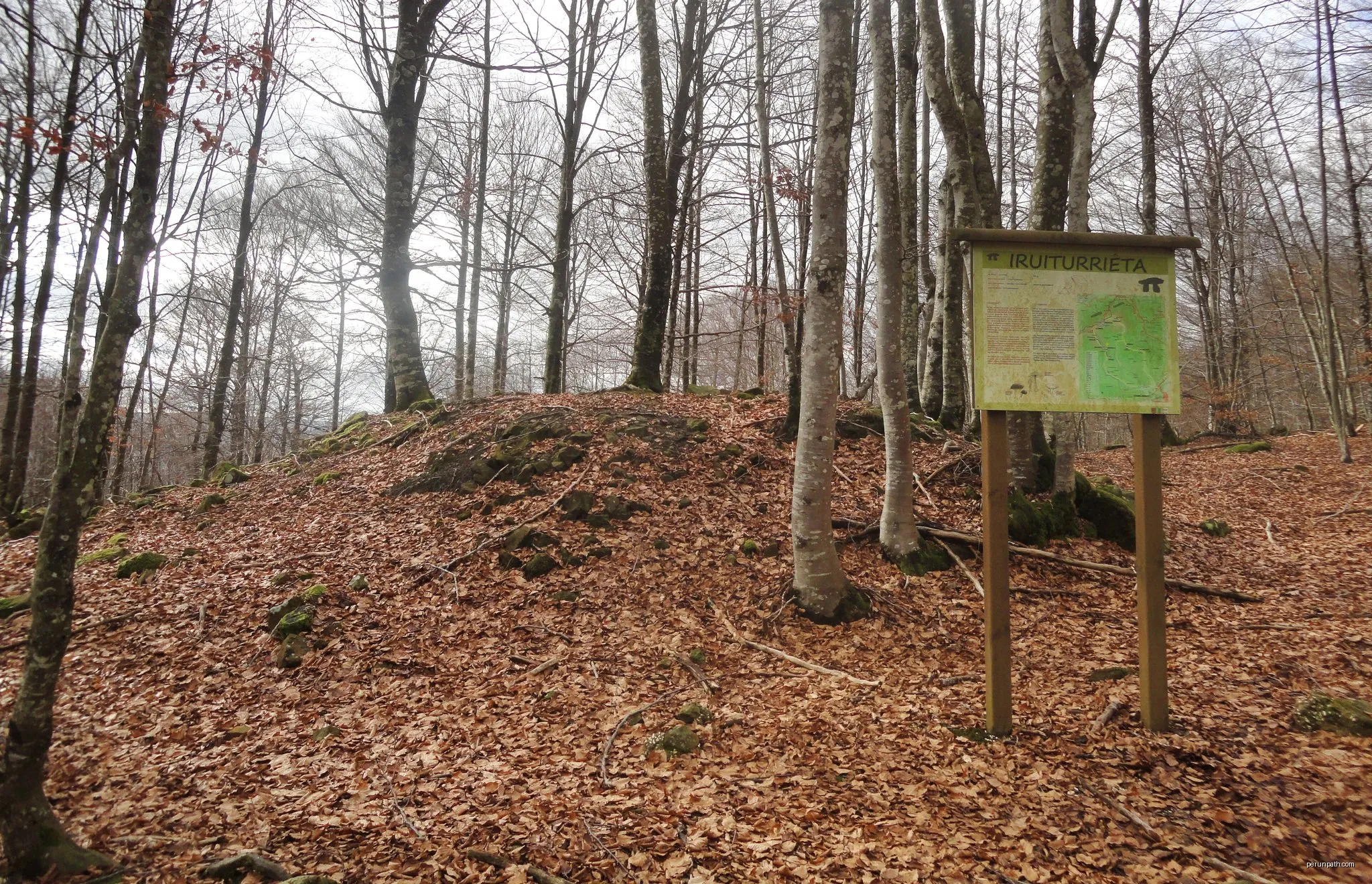 Trikuharrien ibilbidea