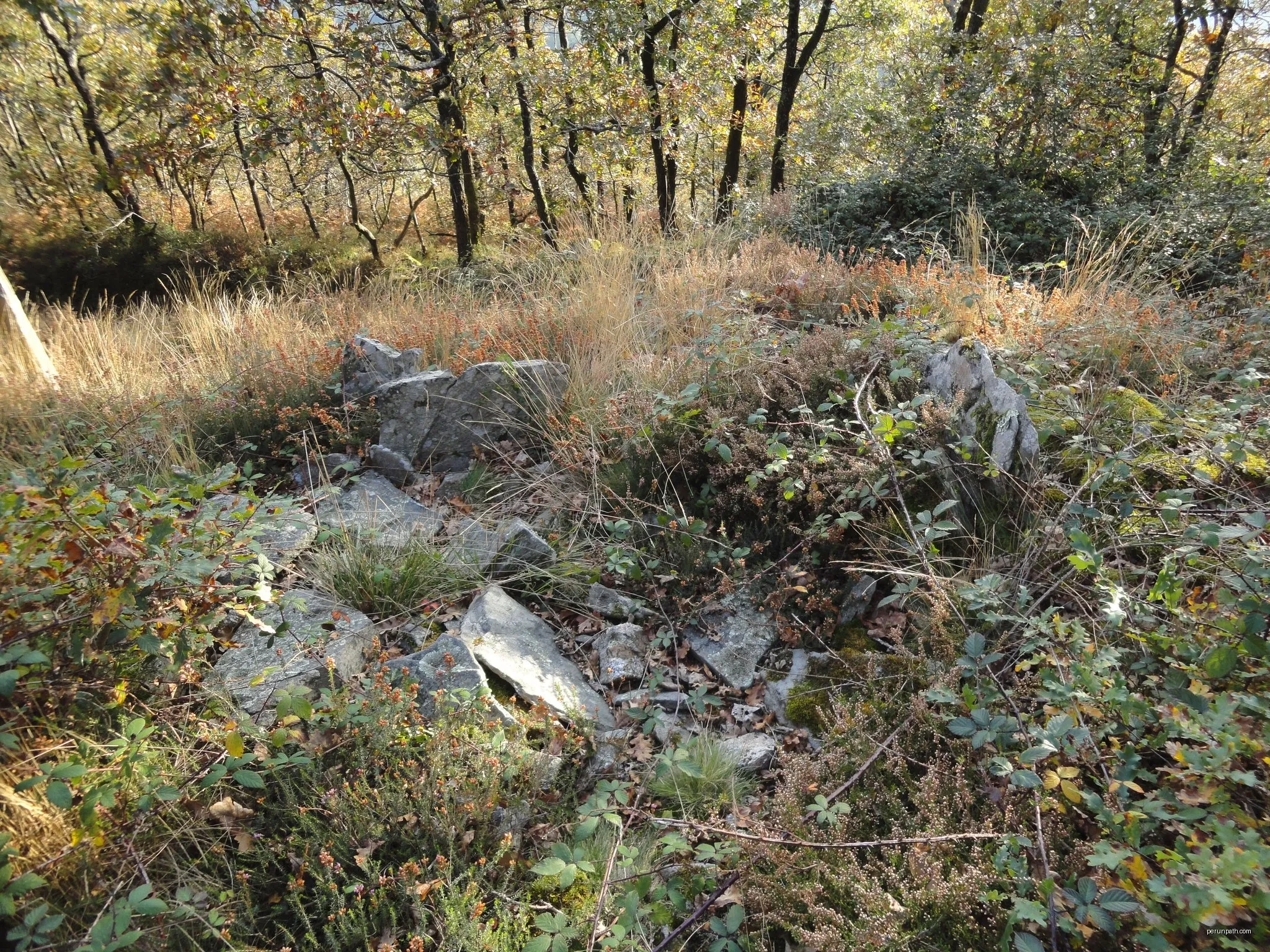 Irusoko megalitoak