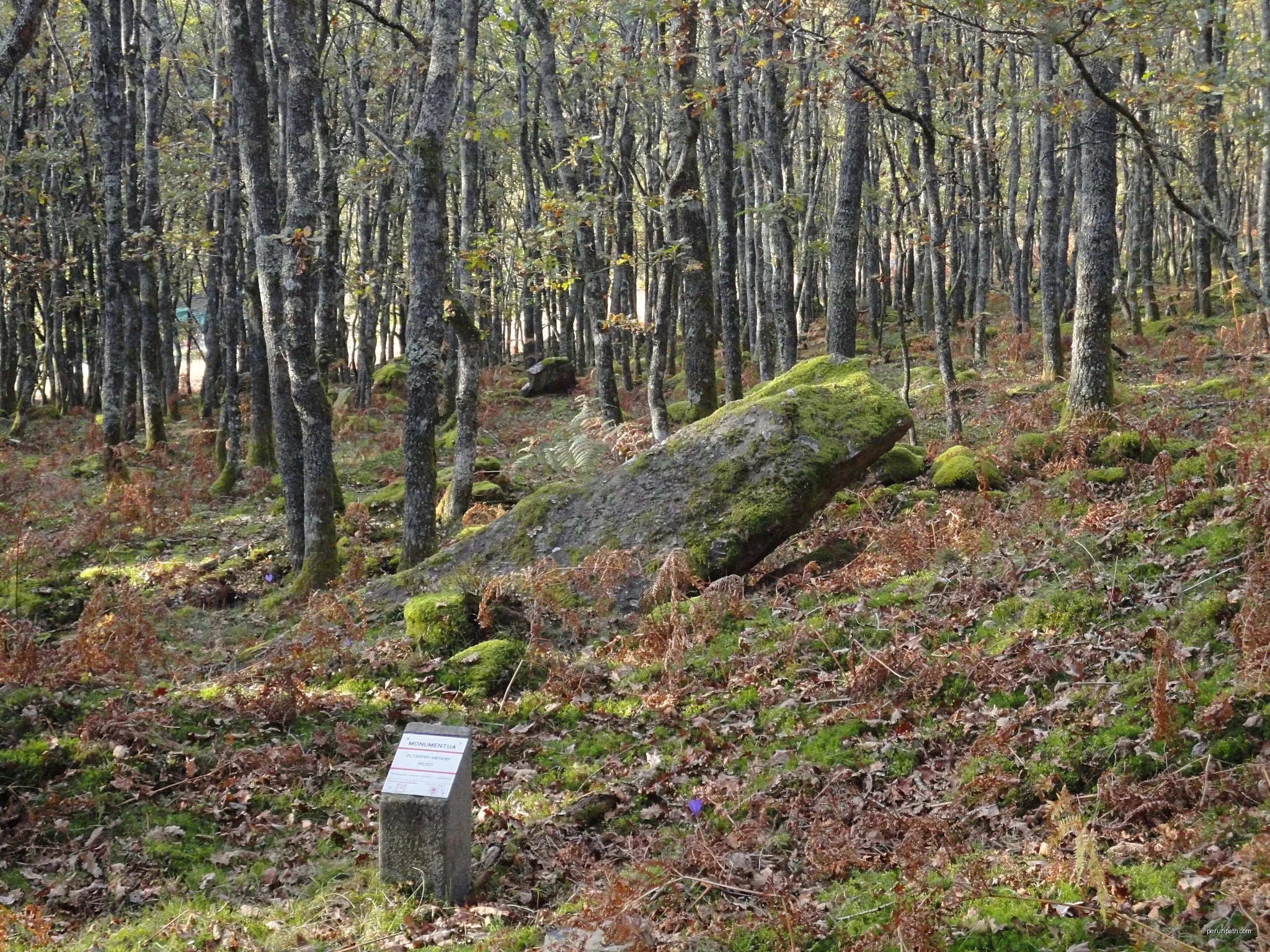 Irusoko megalitoak