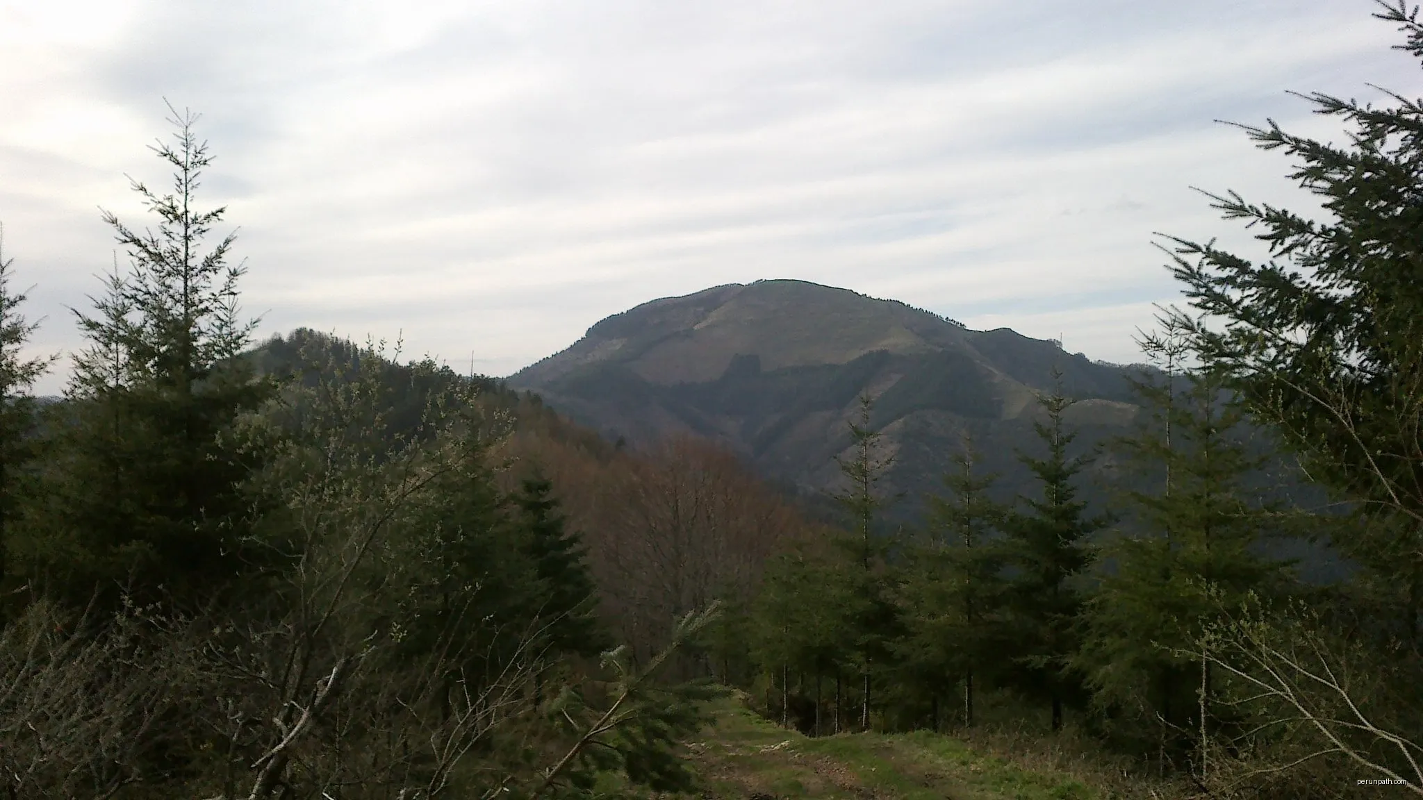 Itsasoko Itzulia Mandubitik