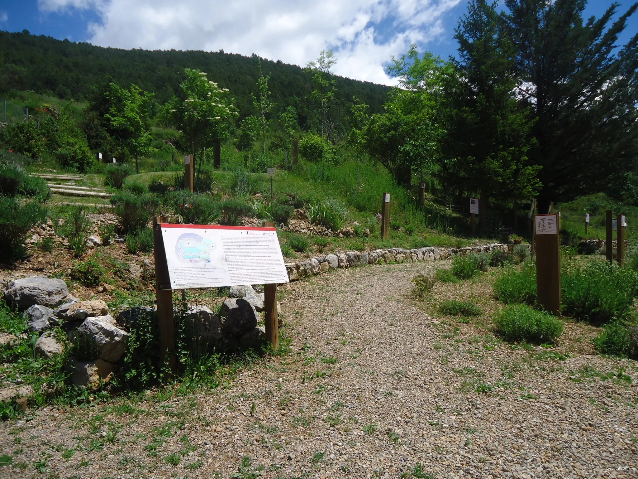 Tuixén-Coll del port