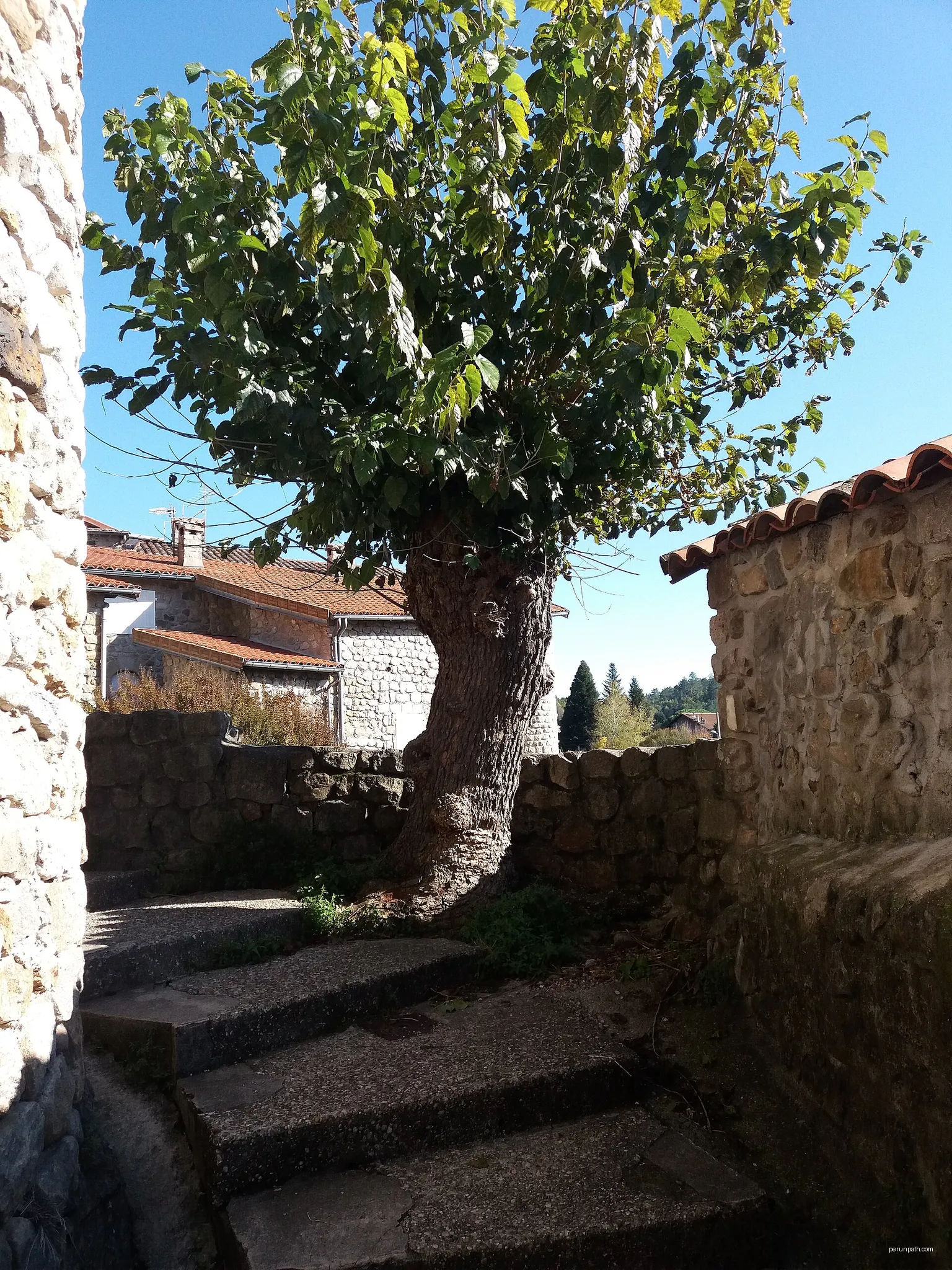 Le Chastelas - La Lioure