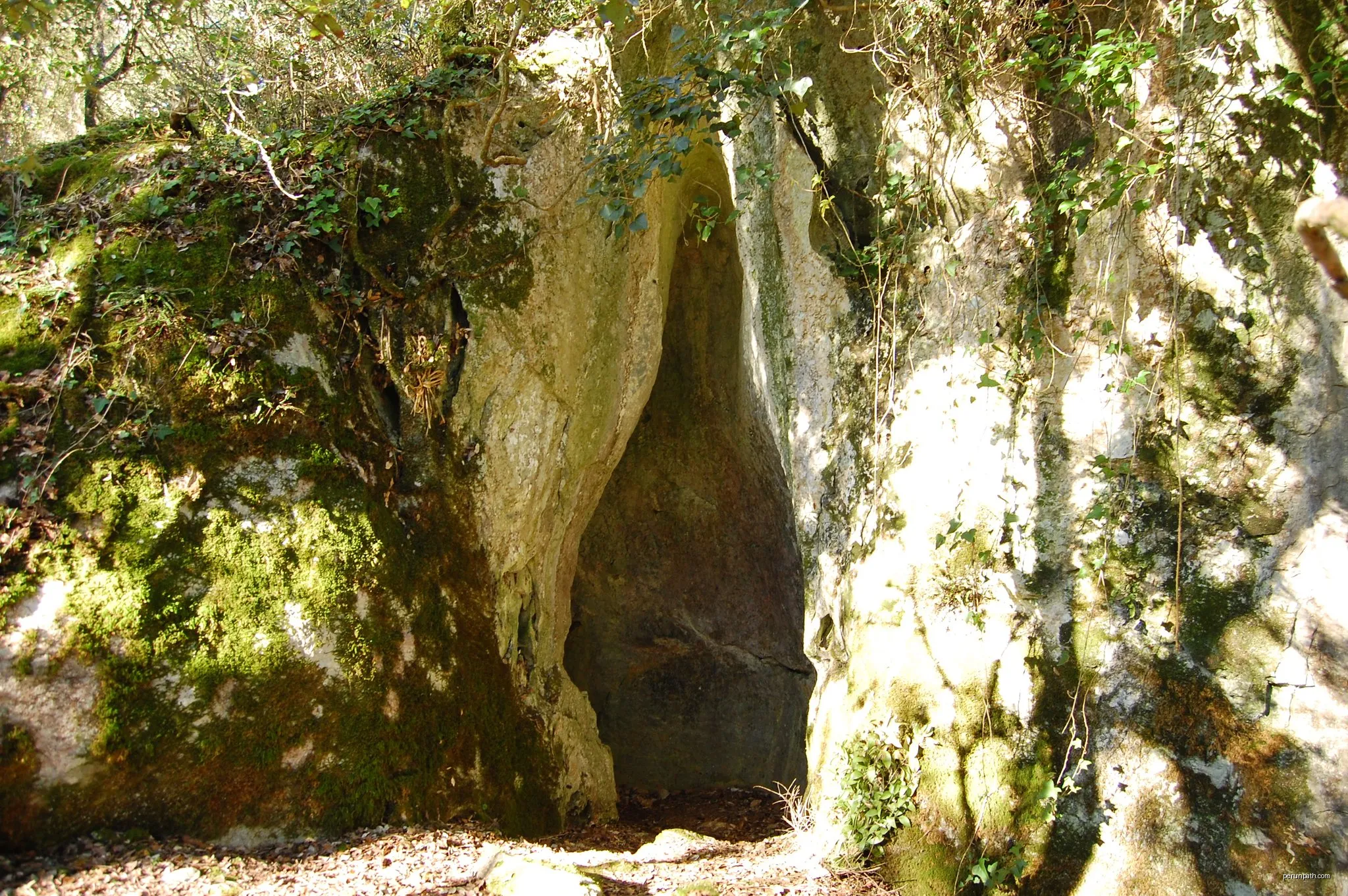 Olatz auzoa