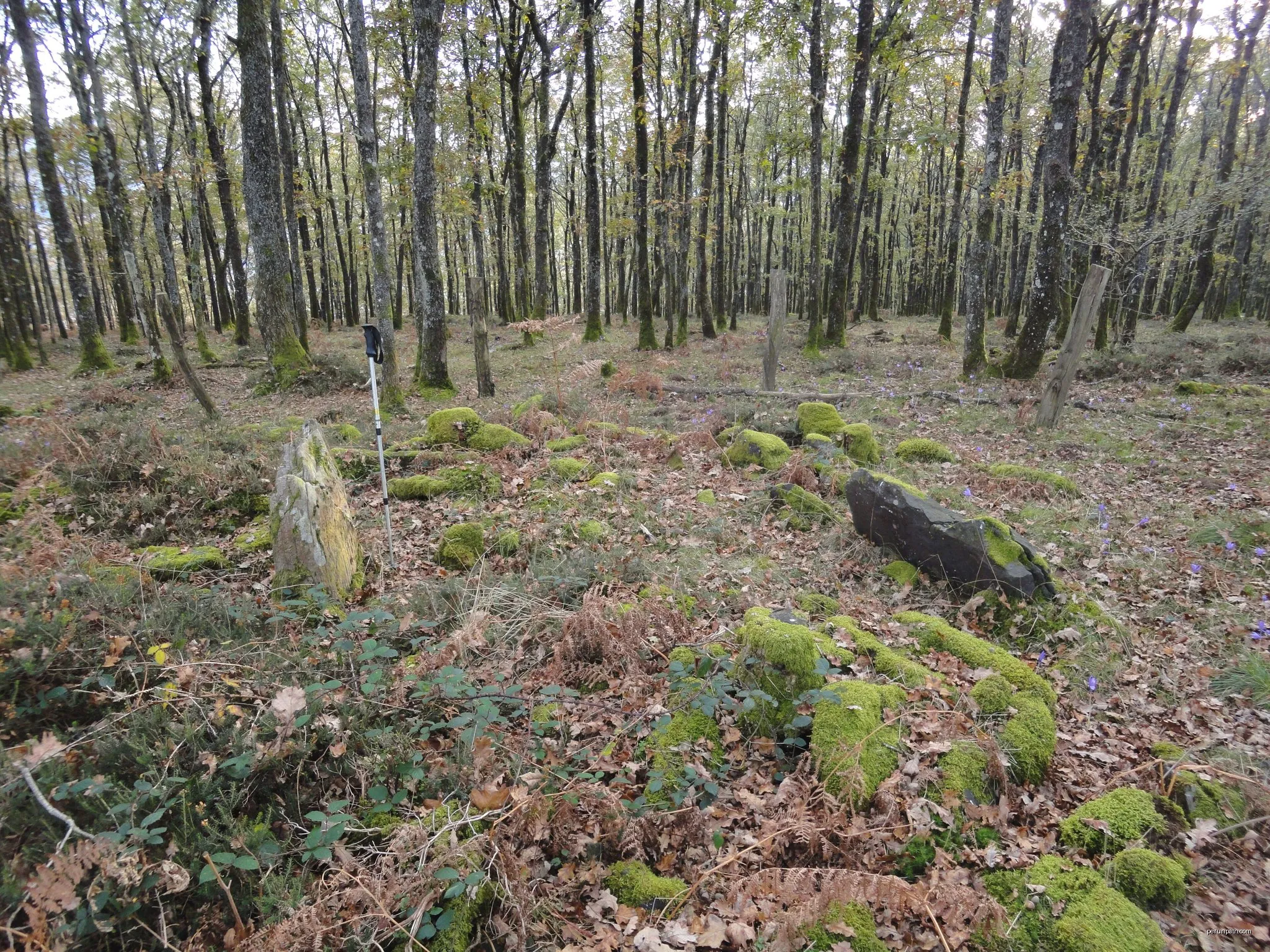 Irusoko megalitoak