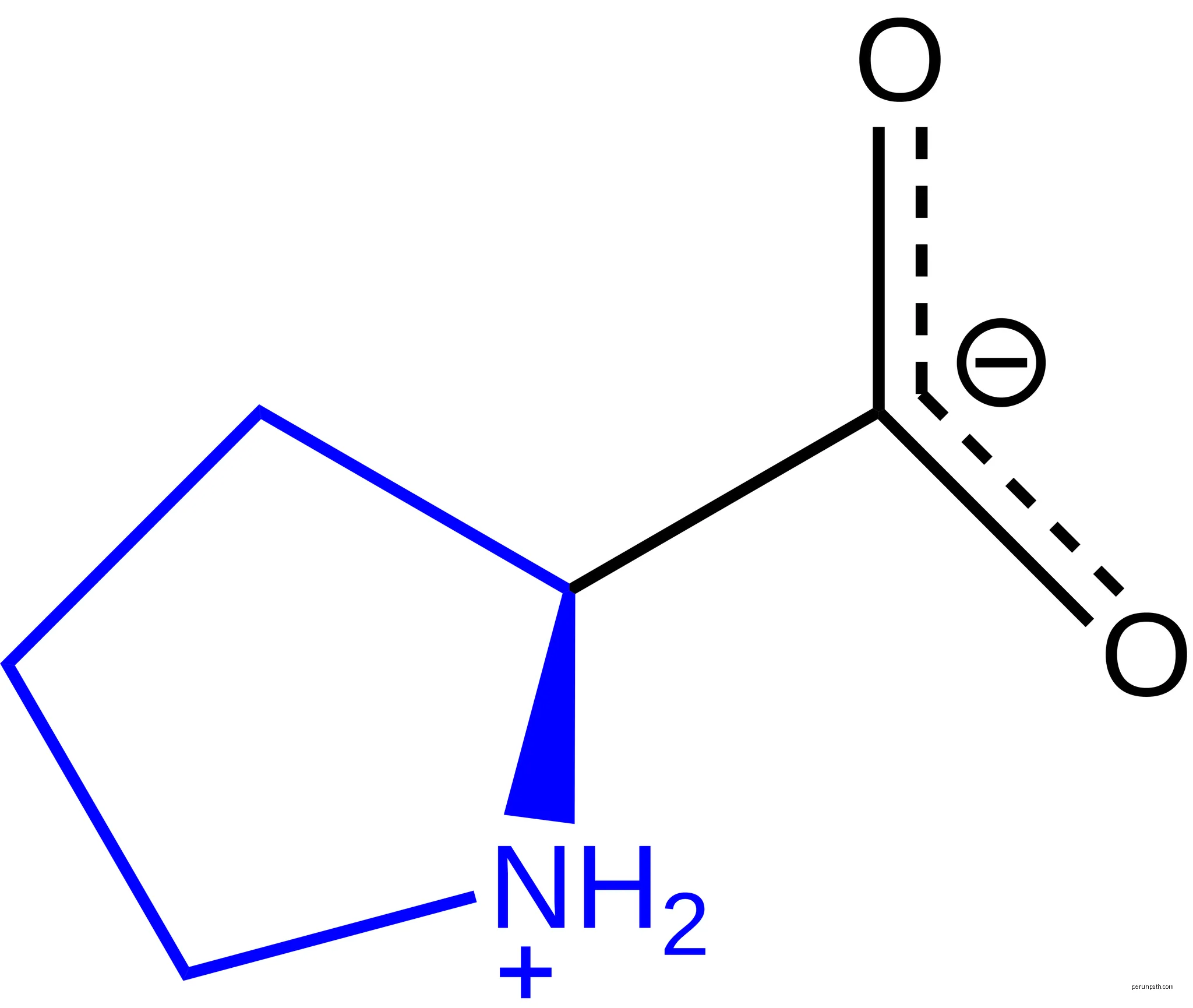 Proline at physiological pH with resonance | Autor: Linnikh | Licencja: CC BY-SA 4.0 | Źródło: Wikimedia Commons