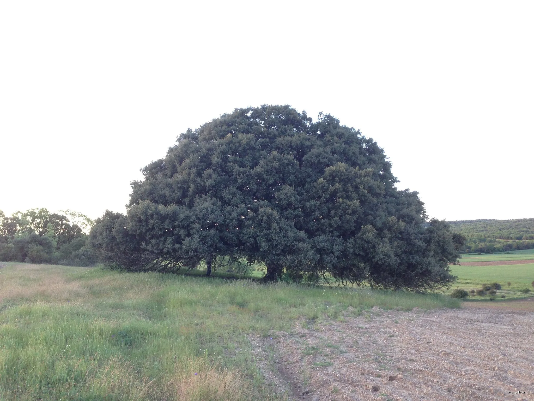 Sendero de San Clemente