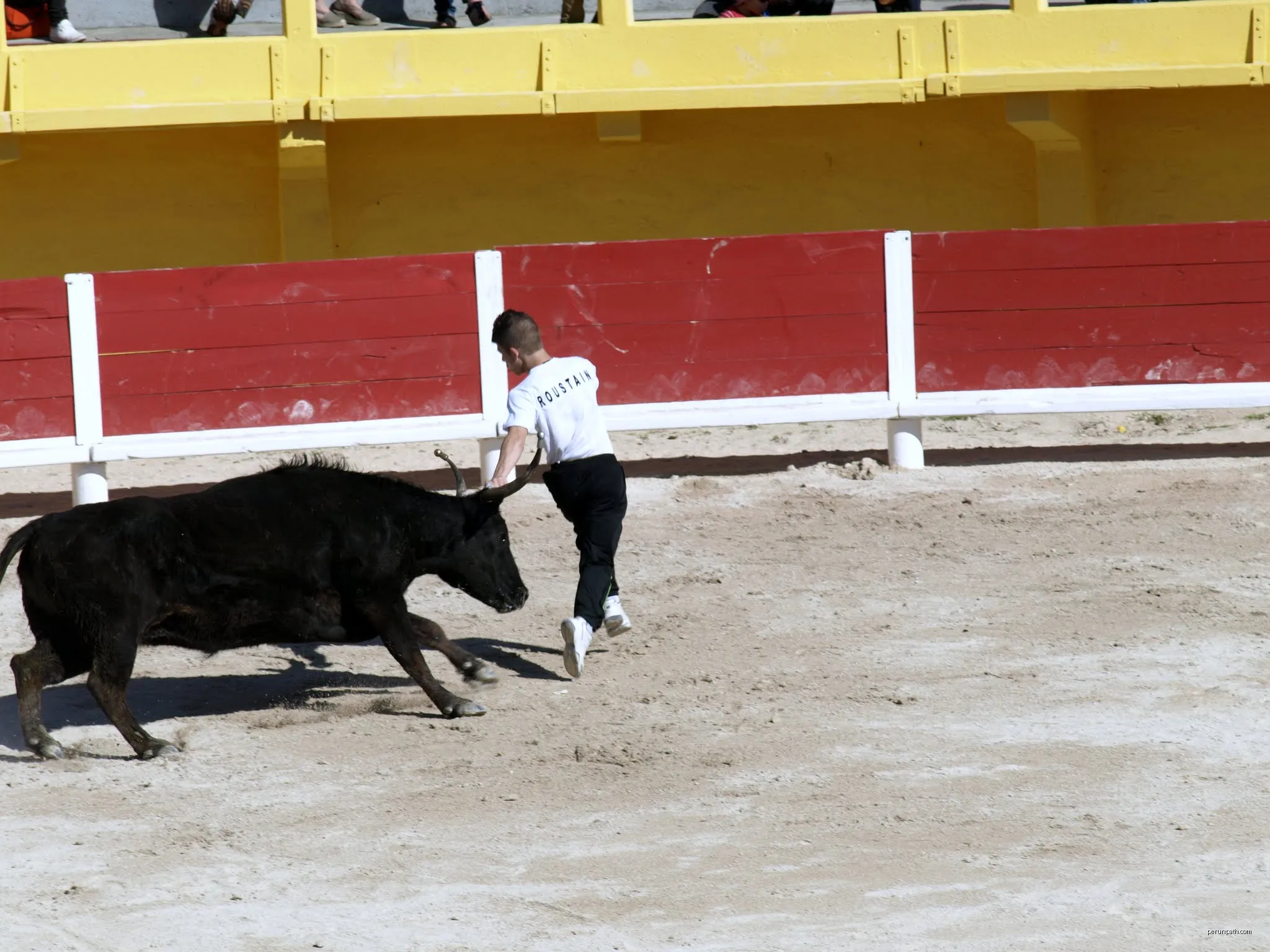 la paura!!!! | Autor: Barbanera | Licencja: CC BY 3.0 | Źródło: Wikimedia Commons