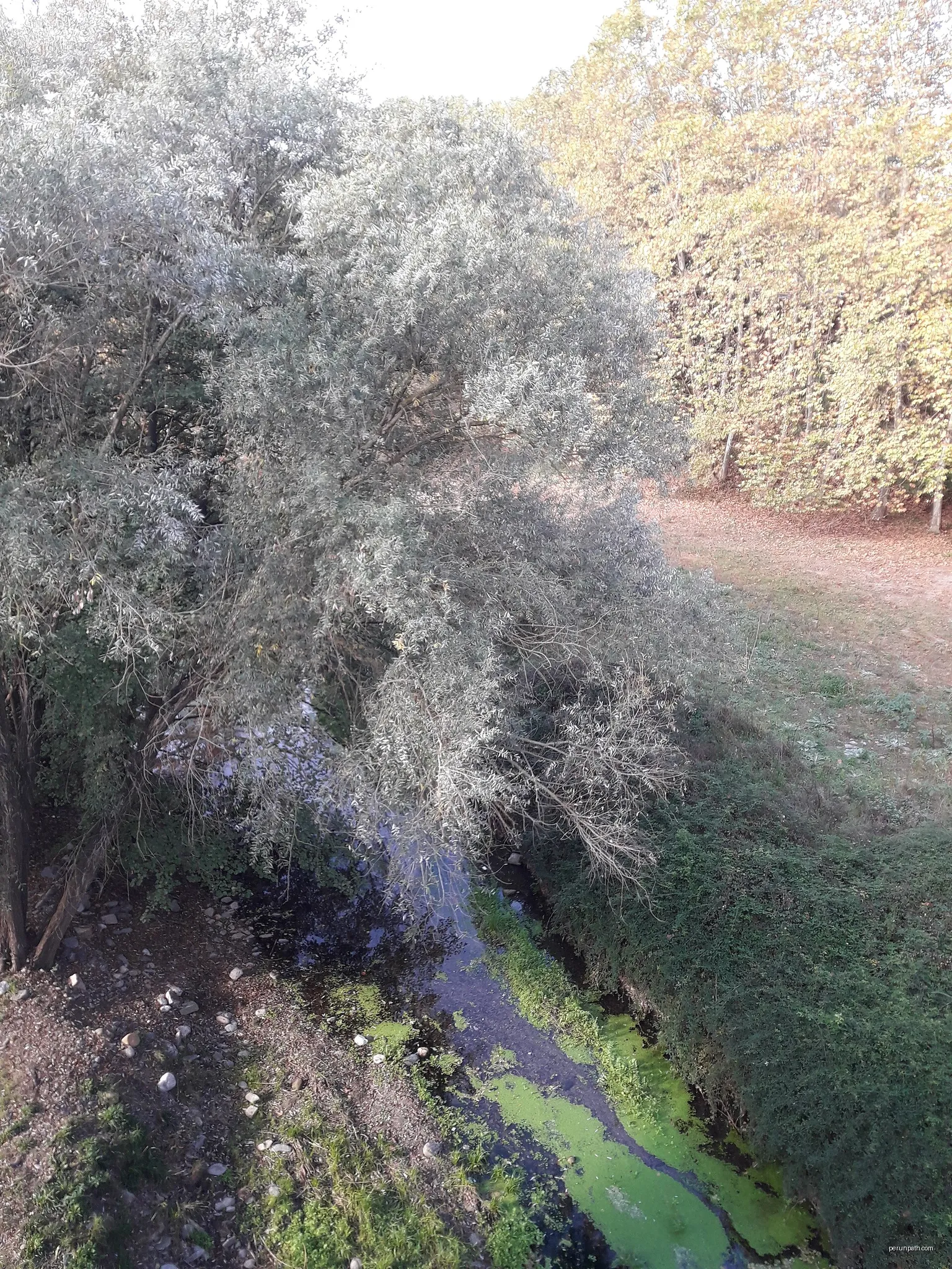 La Tordera des del Pont Trencat | Autor: Pere López Brosa | Licencja: CC BY-SA 4.0 | Źródło: Wikimedia Commons