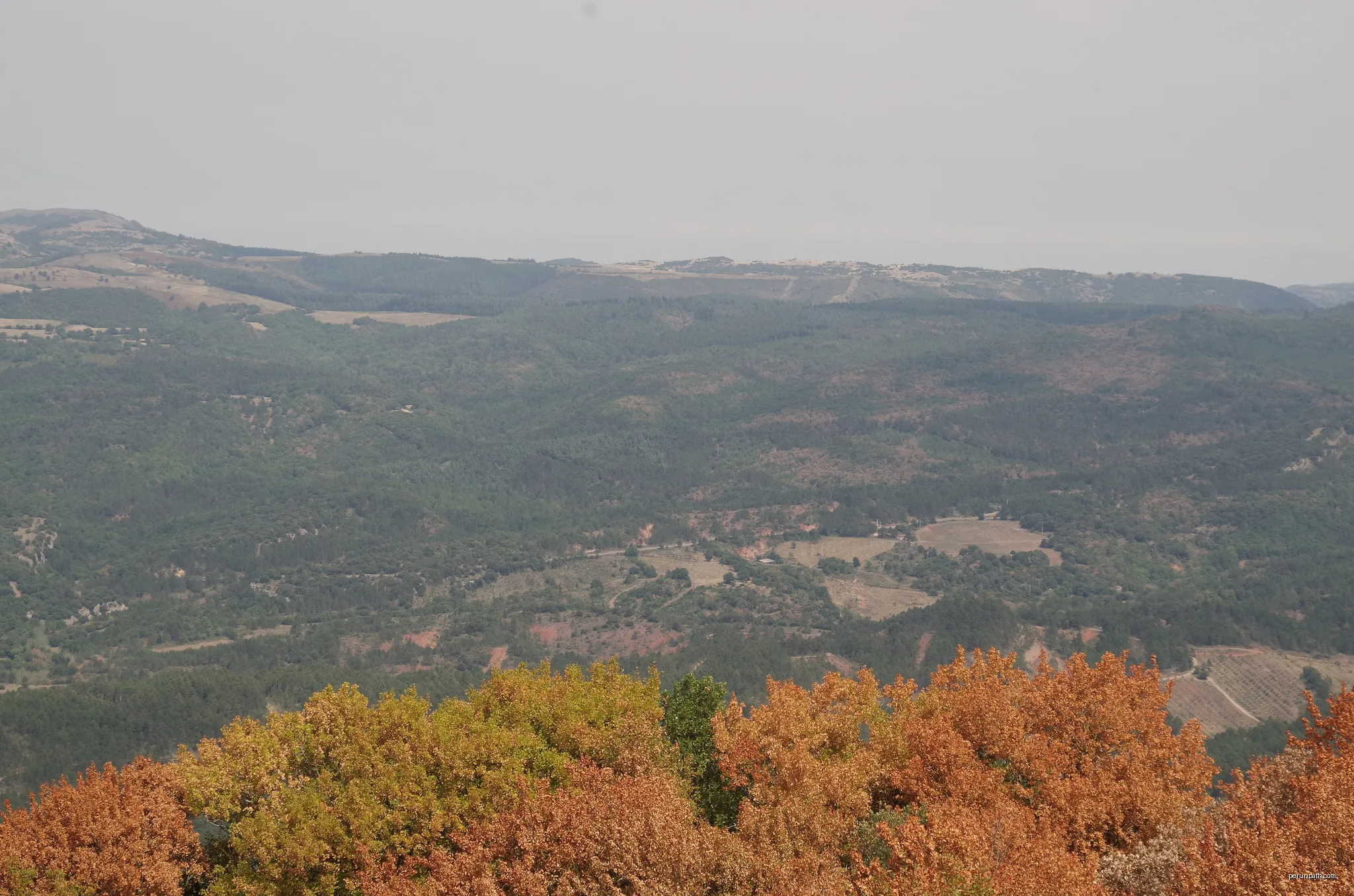 Les Berques