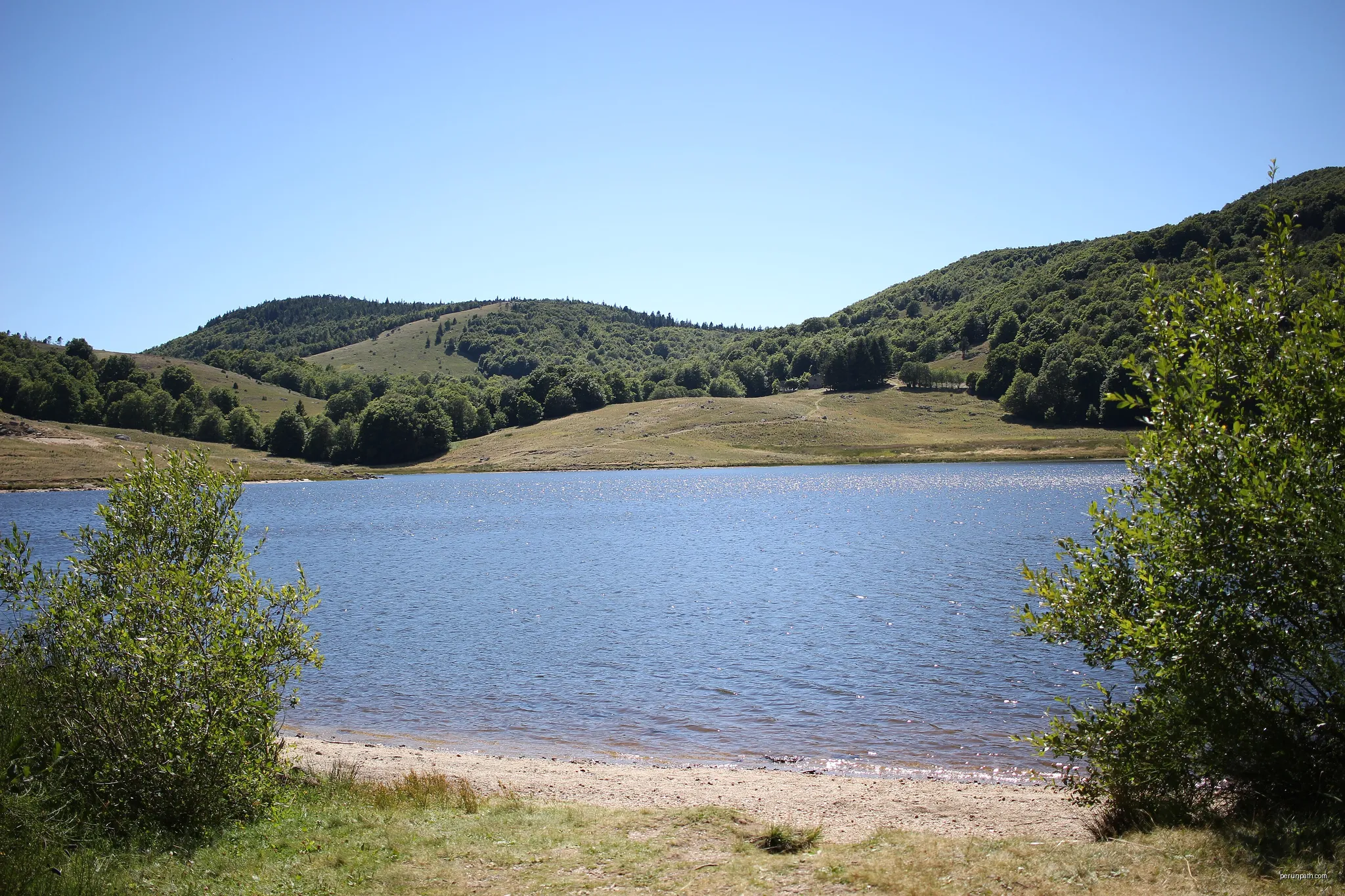 La forêt du Lingas