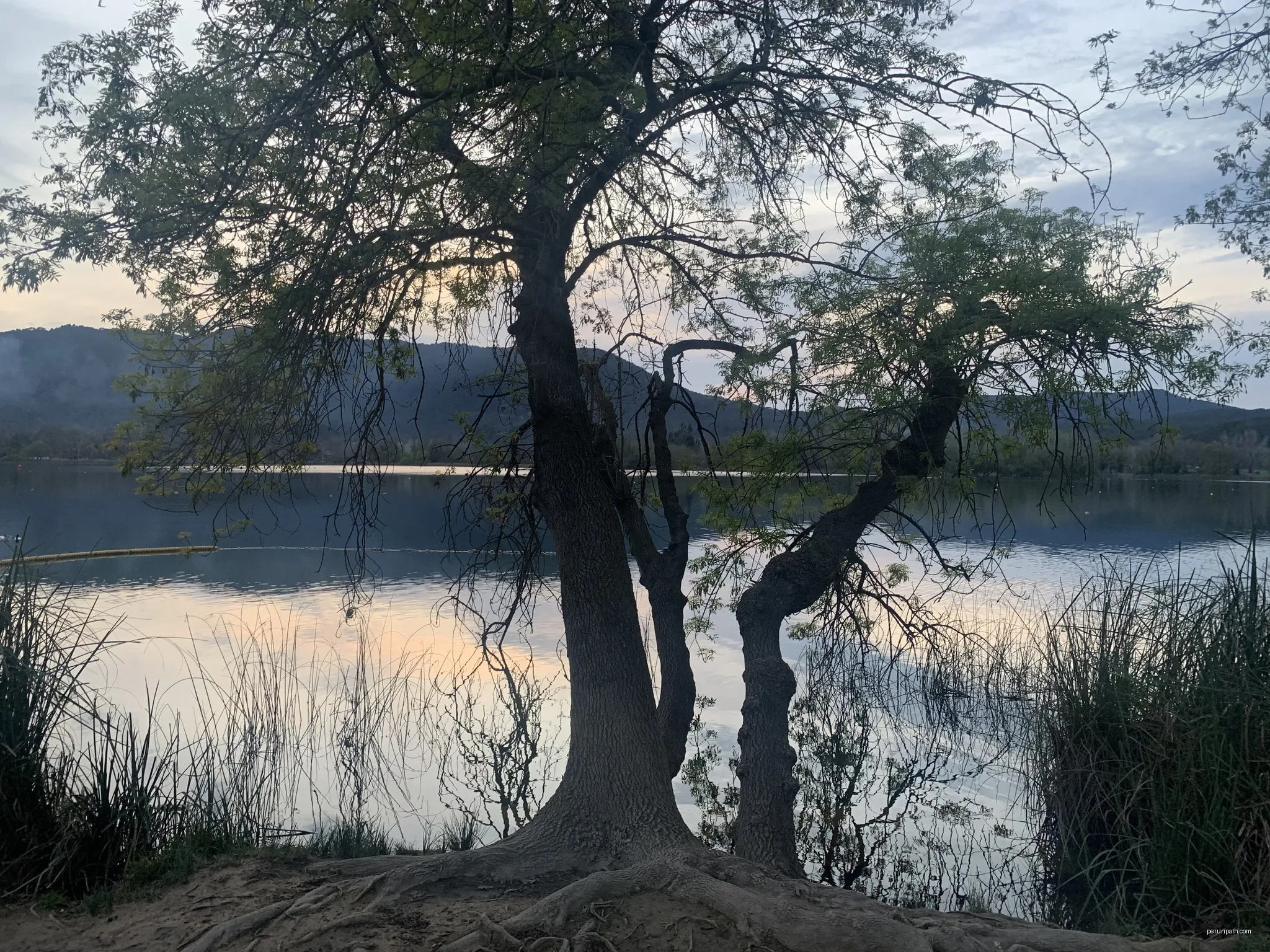 Ruta dels recs