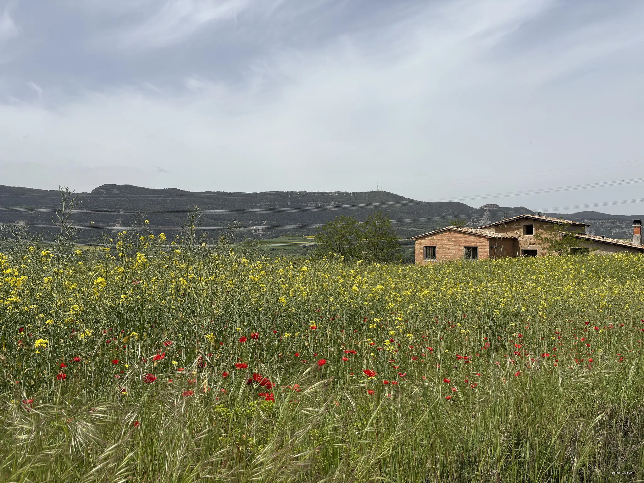 Mas de l'alzinar, al terme de Seva | Autor: Wikiwiki | Licencja: CC BY-SA 4.0 | Źródło: Wikimedia Commons