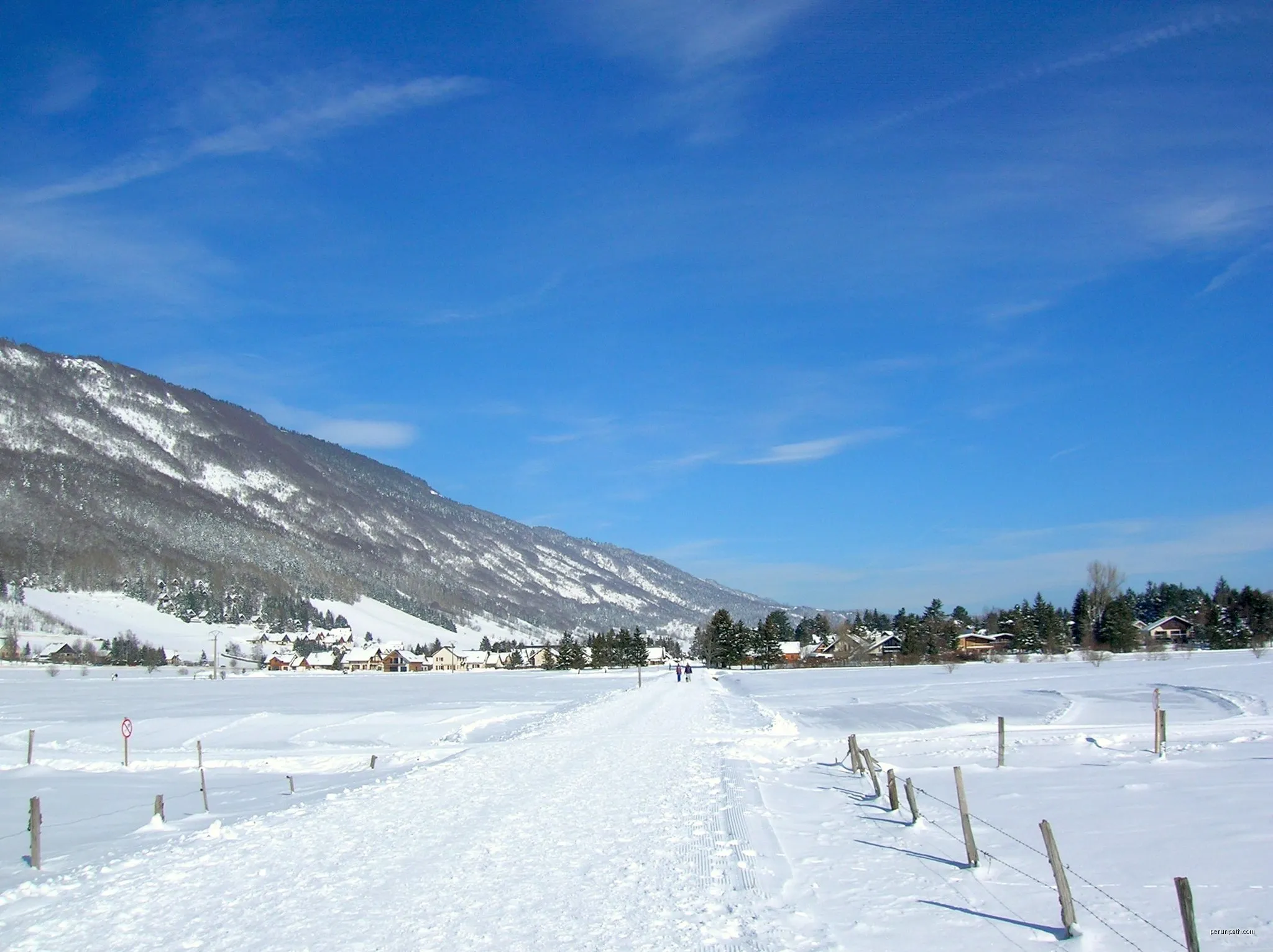 Petite Verte