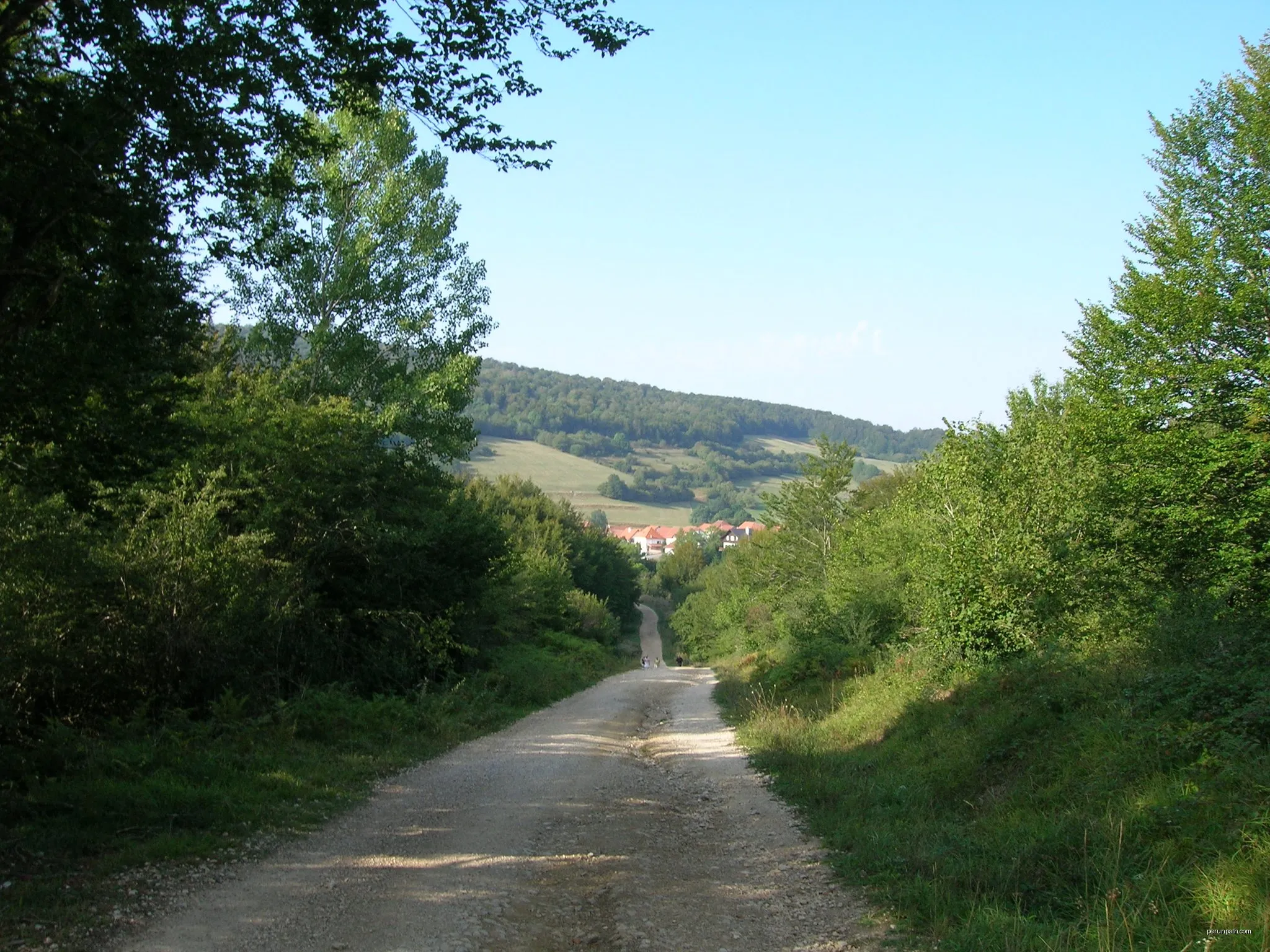 Berraguko bidea