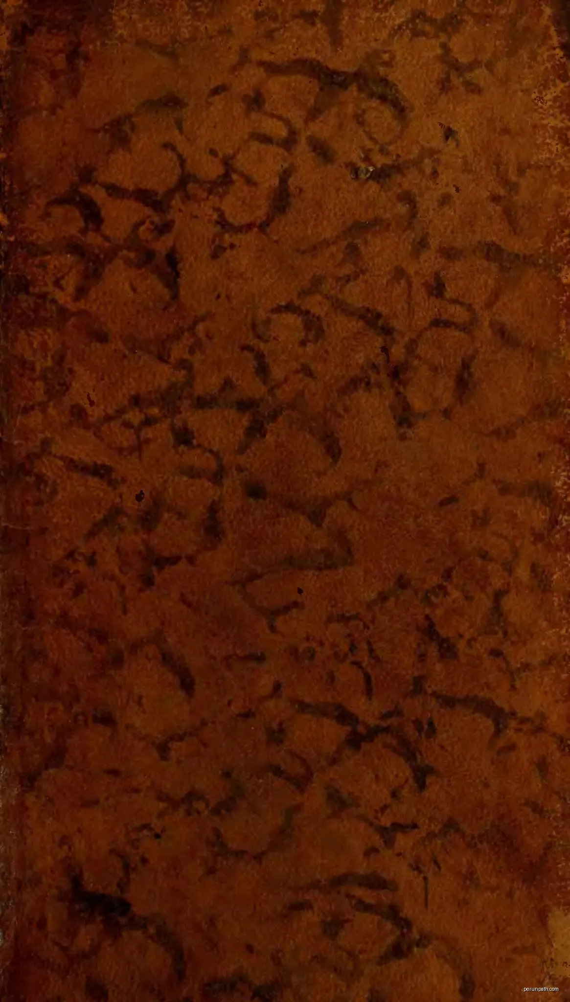 Rocher des Fées