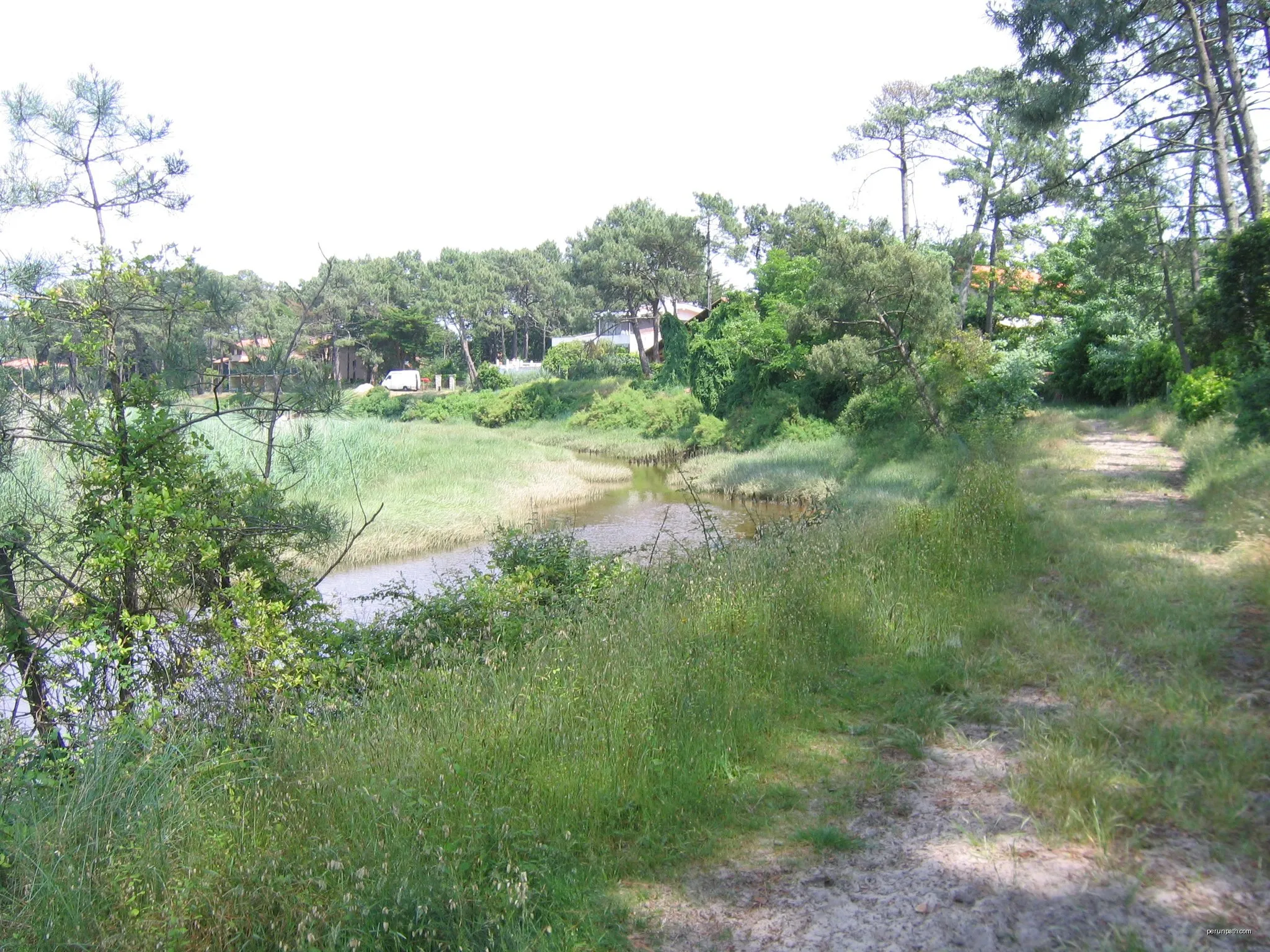 Sentier des Aigrettes