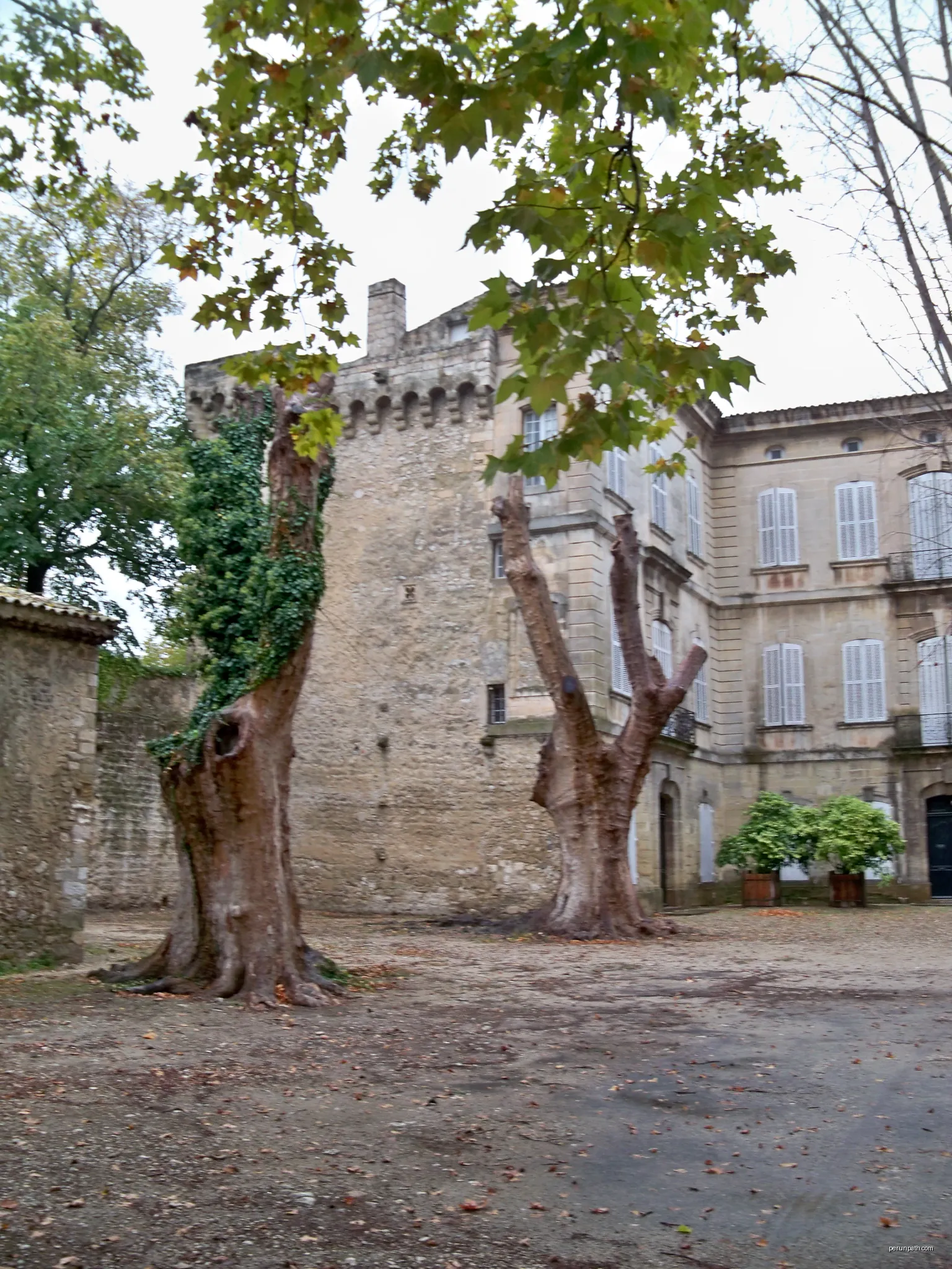 Entre Vignoble et Paysage