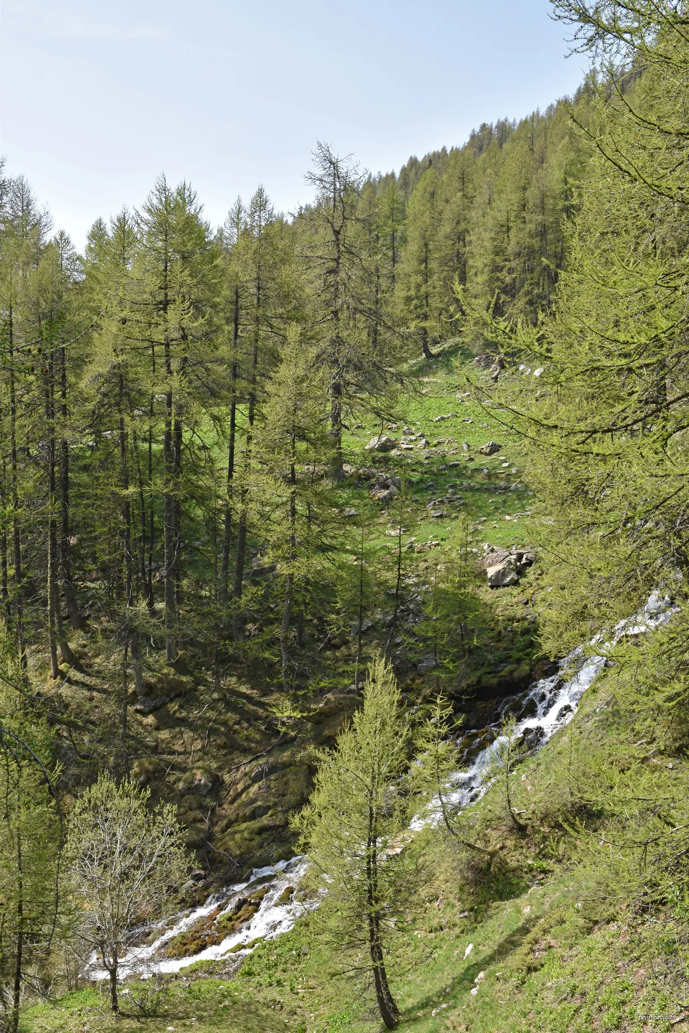 Les Cisiers - Vallon des Séyères