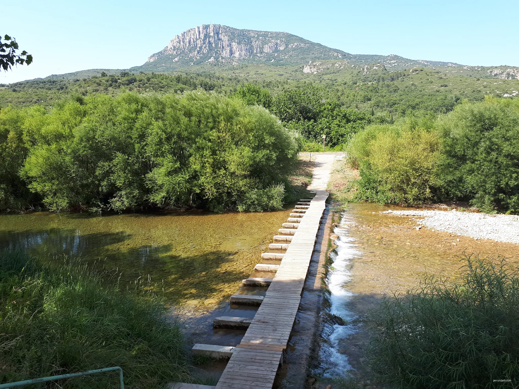 Le Verdouble à Padern, Aude, en juin 2020 (au loin: Pech de Fraysse, Mont Tauch) | Autor: Alan Mattingly | Licencja: CC BY-SA 4.0 | Źródło: Wikimedia Commons