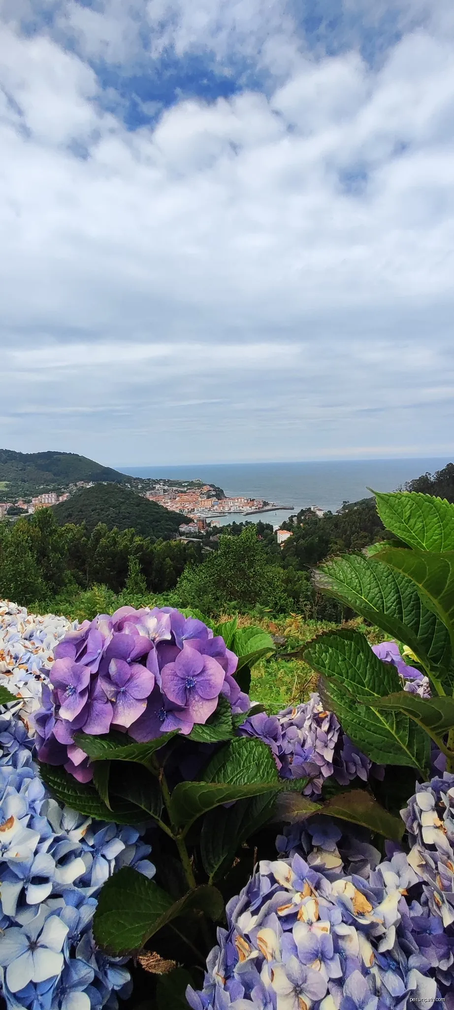 Ardoaren eta arrainaren bidea (Maskakorta-Lekeitio)