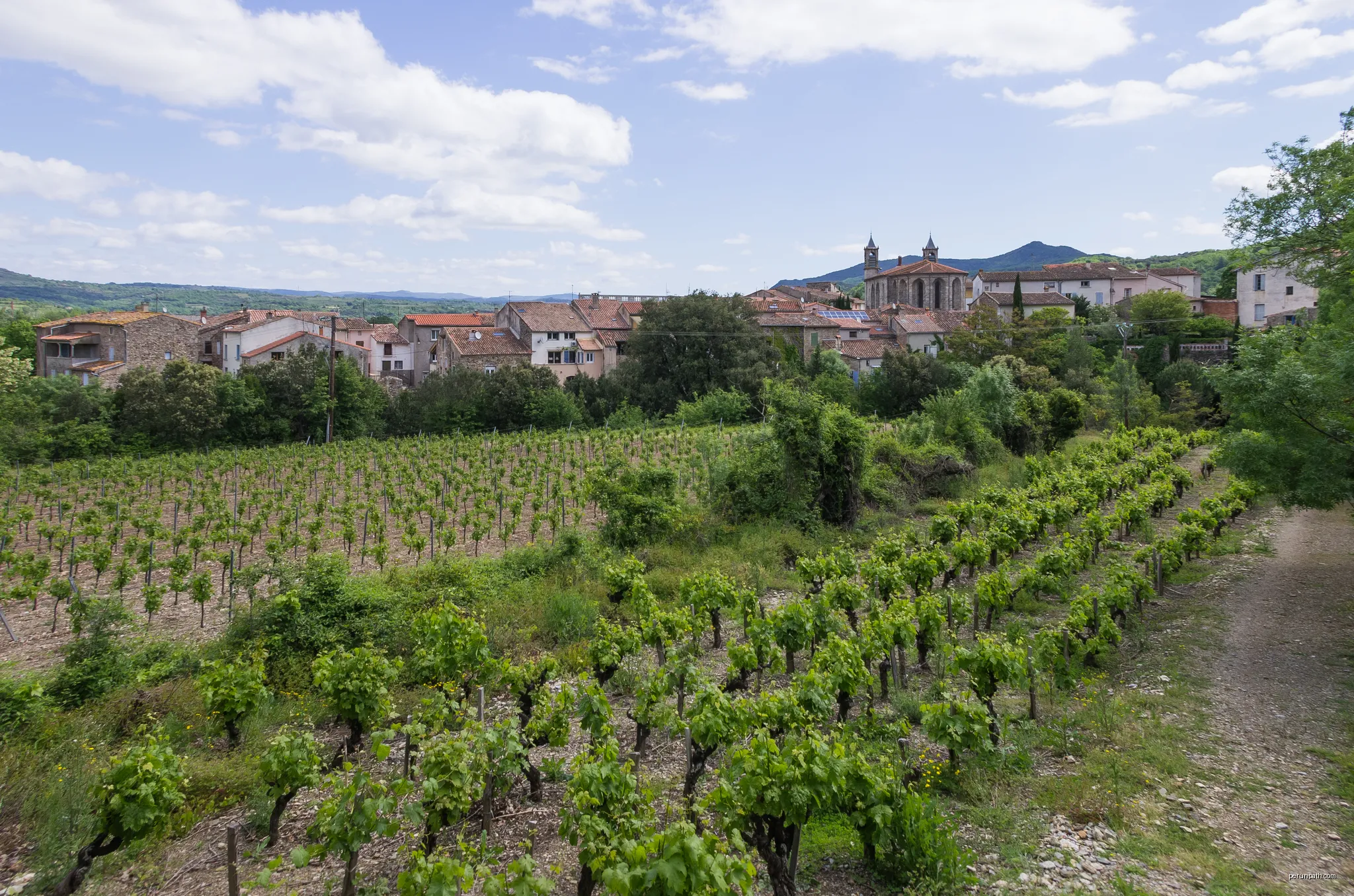Commune of Les Aires, Hérault, France. Haut-Languedoc Regional Natural Park. | Autor: Christian Ferrer | Licencja: CC BY-SA 4.0 | Źródło: Wikimedia Commons
