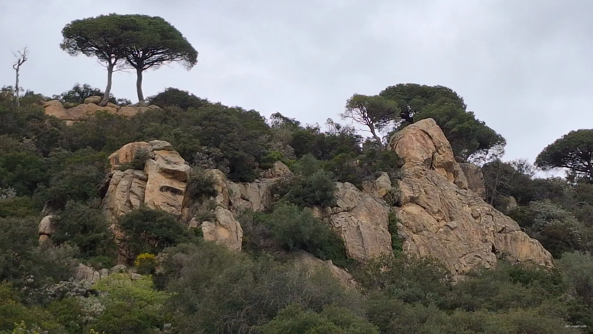 Les Banyadores | Autor: Pere prlpz | Licencja: CC BY-SA 4.0 | Źródło: Wikimedia Commons