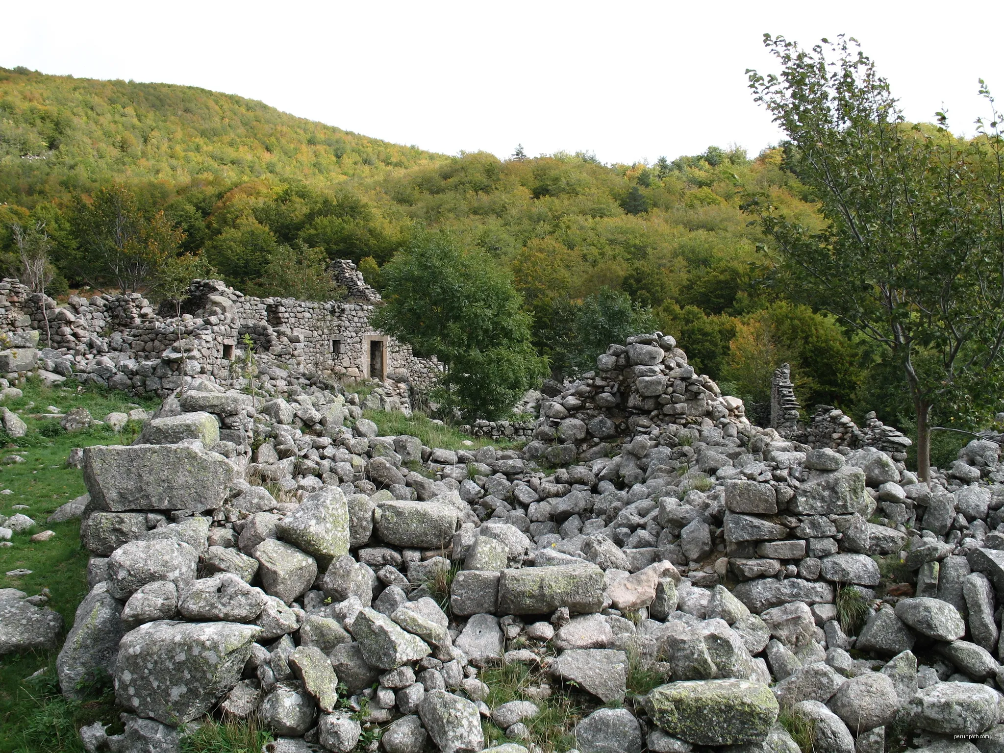 Malpertus