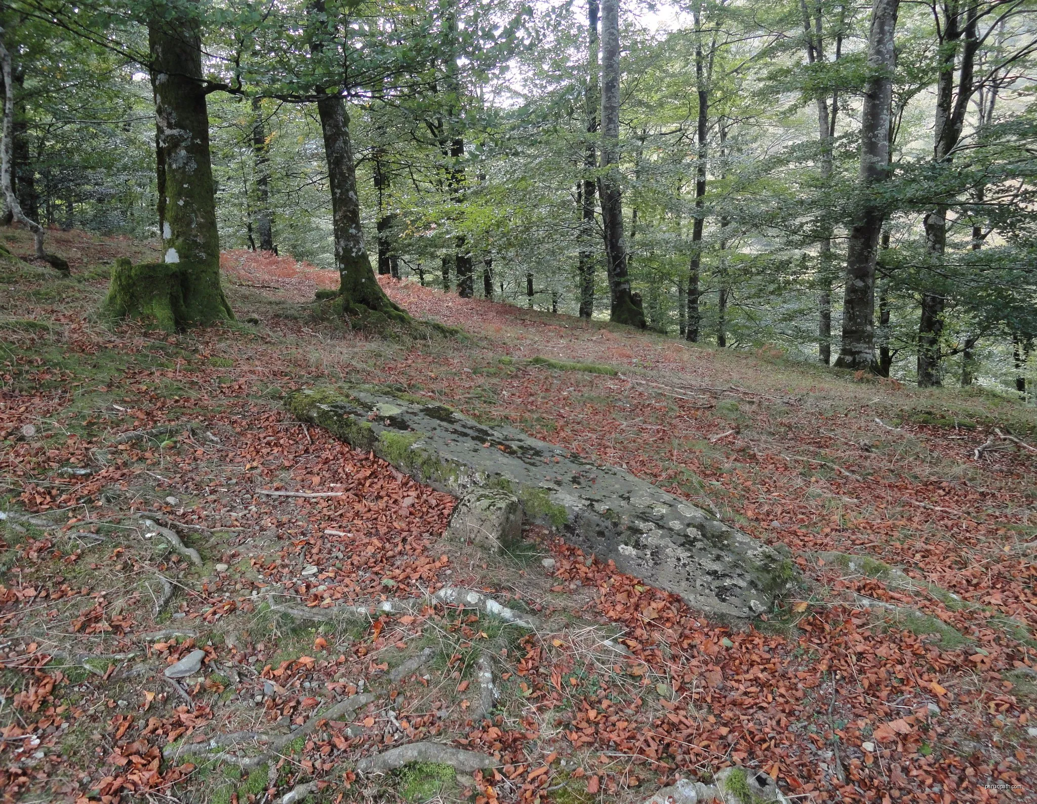 Leurtzako ibilbidea