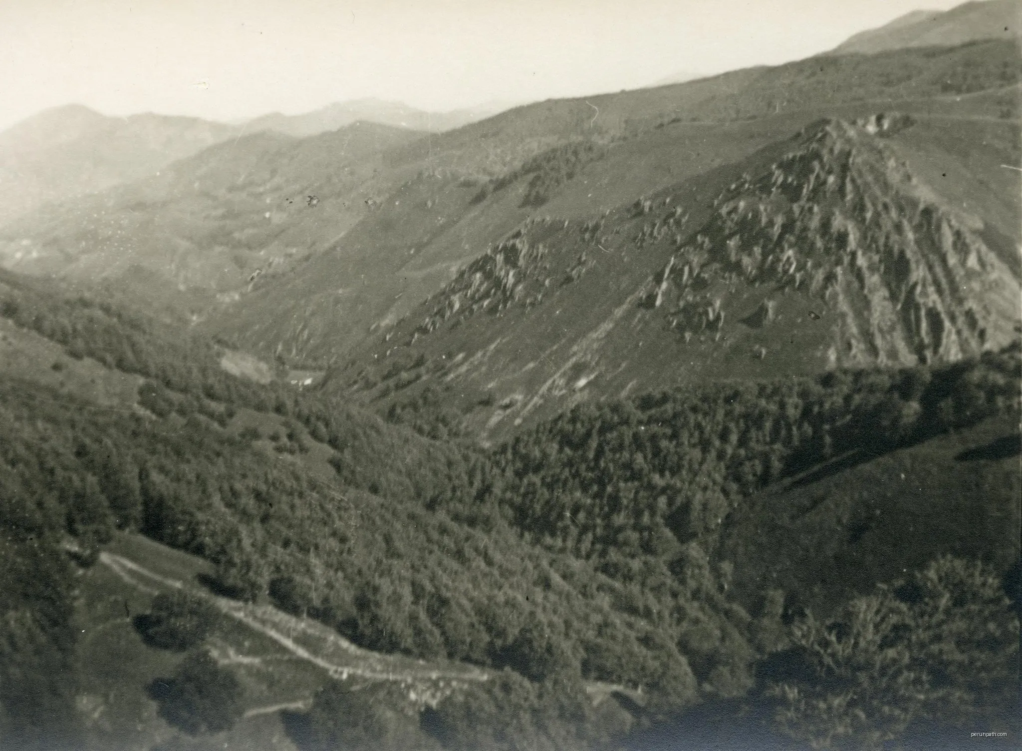 Urepelbide zaharra