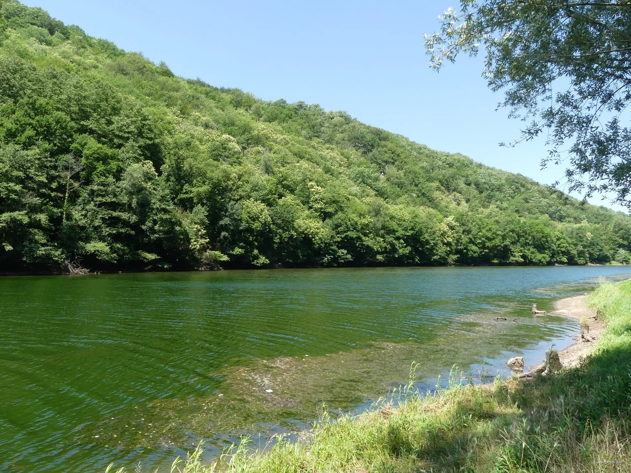 Les Chapelles et le Vignoble